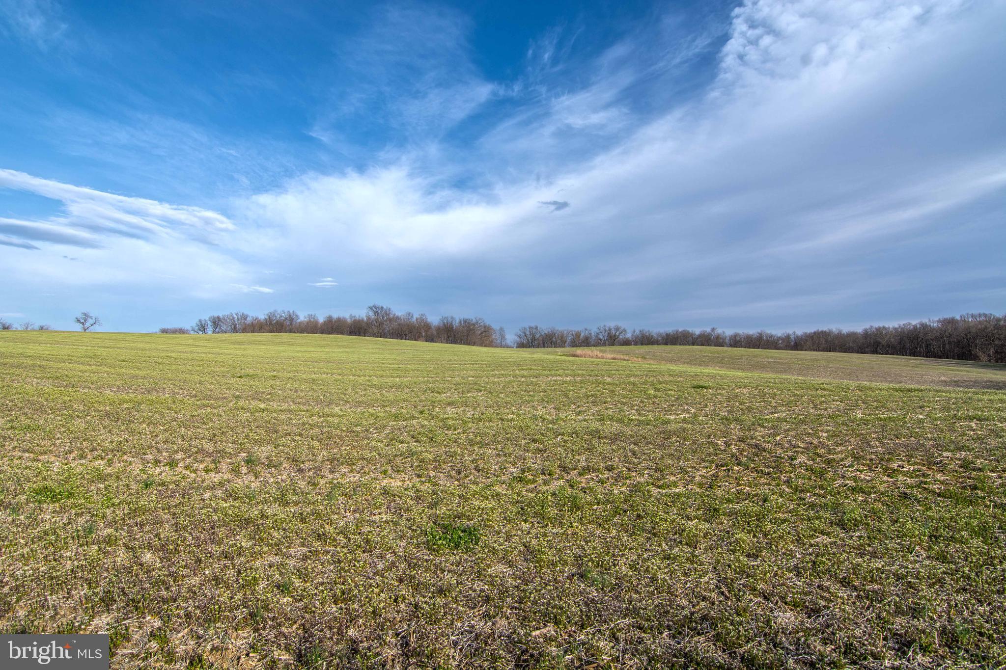 NONE AVAILABLE - Land