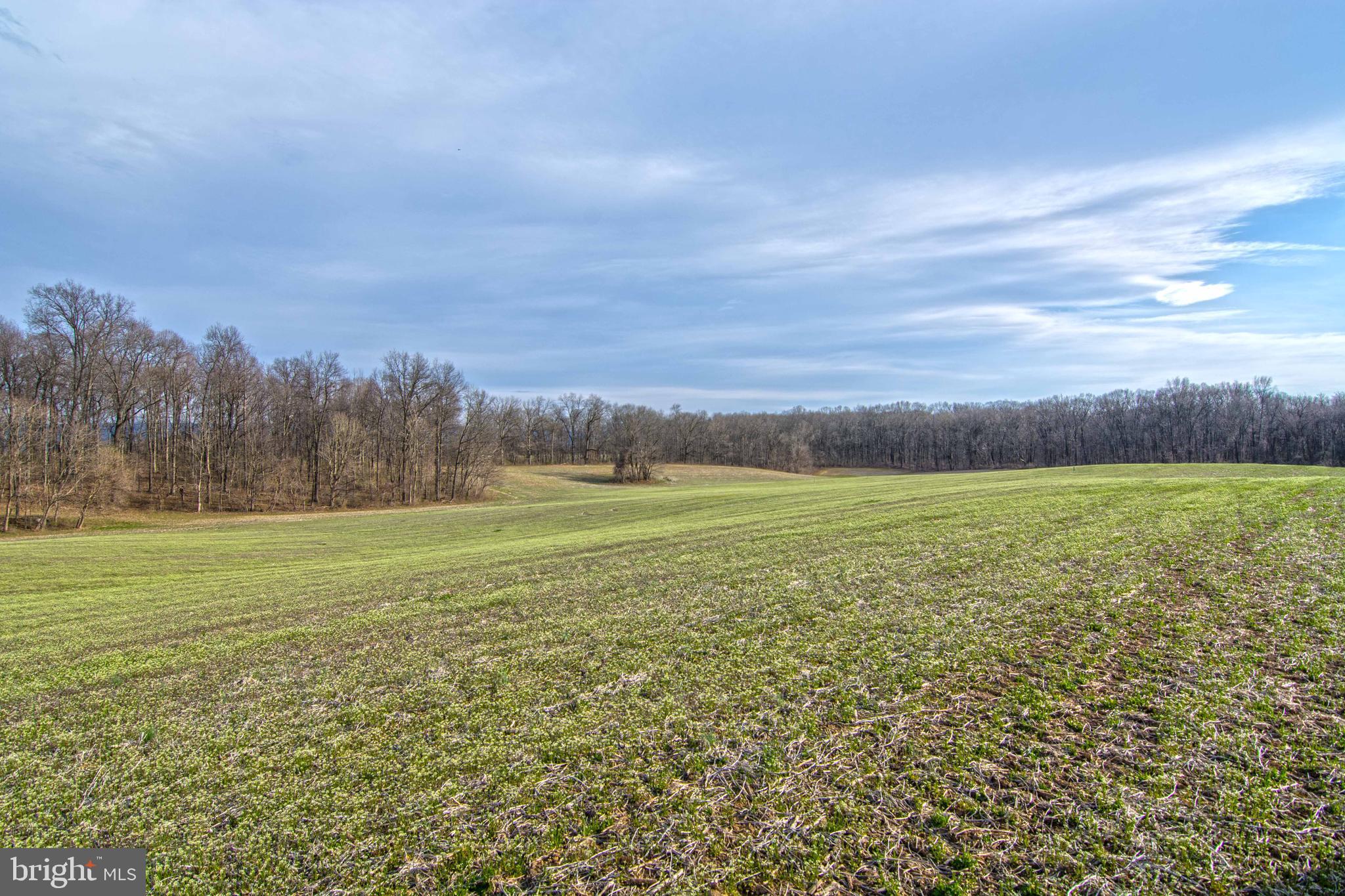 NONE AVAILABLE - Land