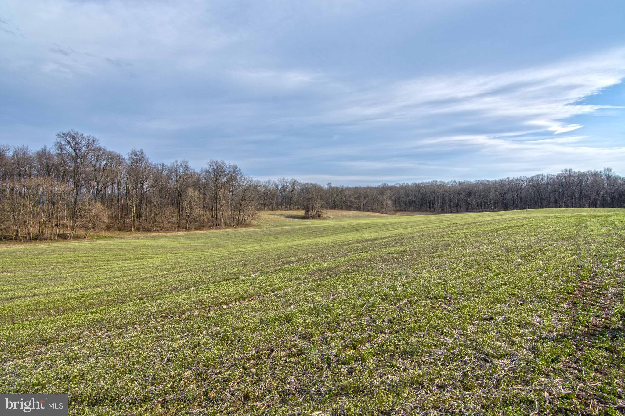 NONE AVAILABLE - Land