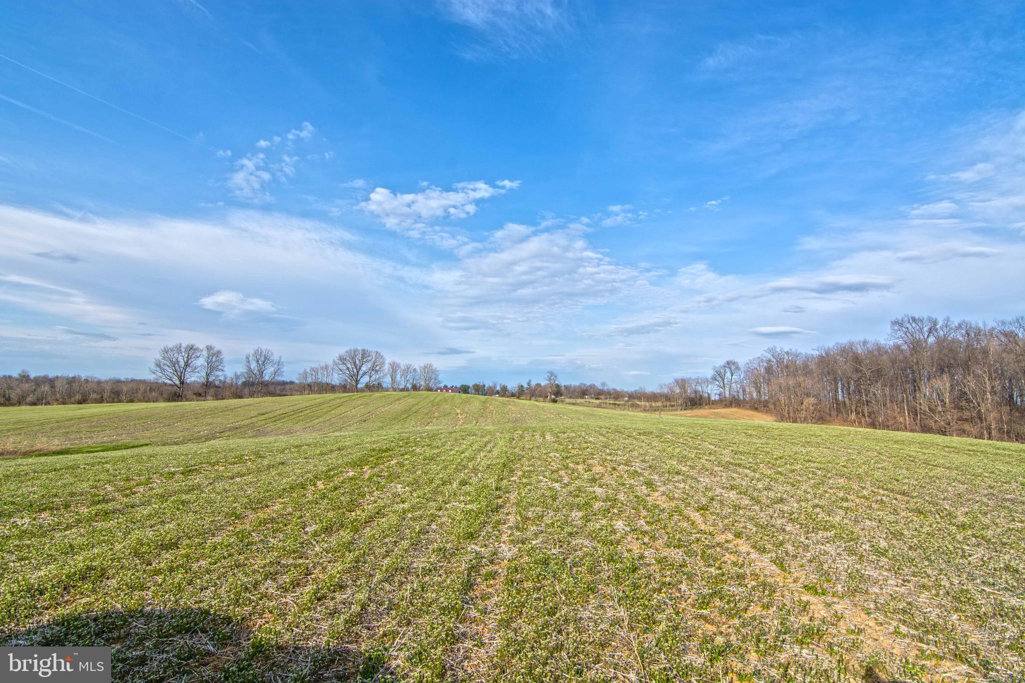 NONE AVAILABLE - Land