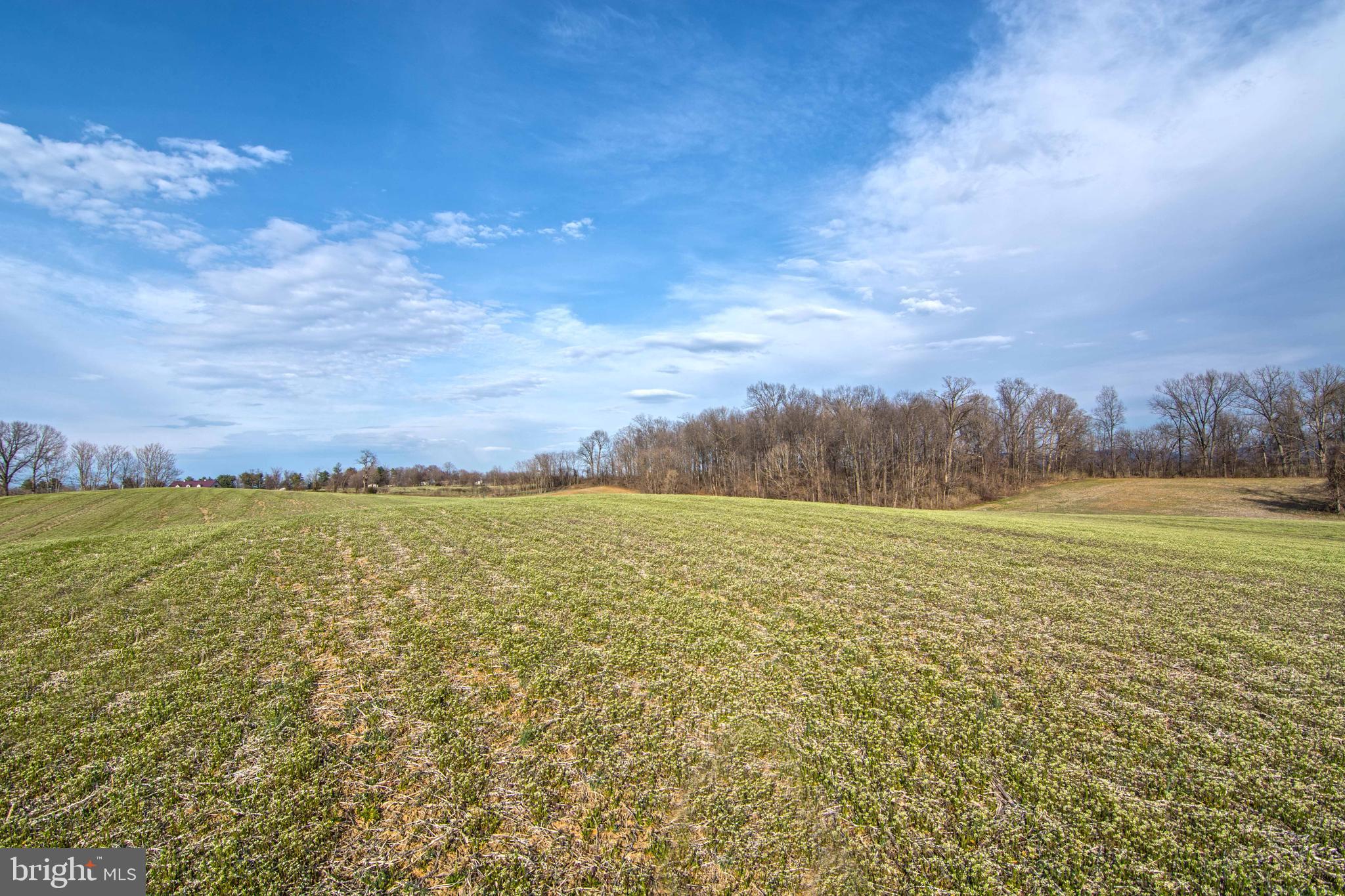 NONE AVAILABLE - Land