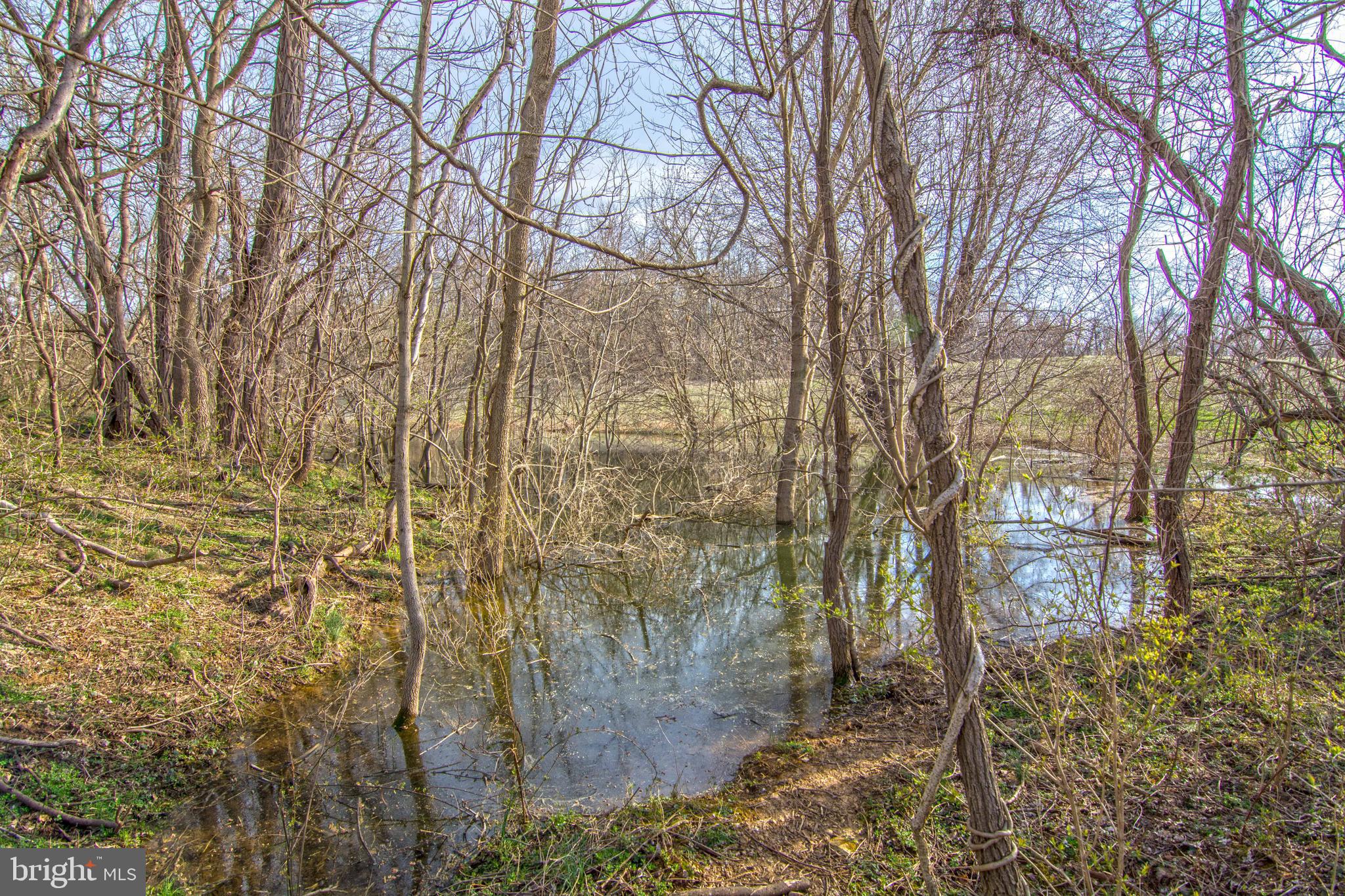 NONE AVAILABLE - Land