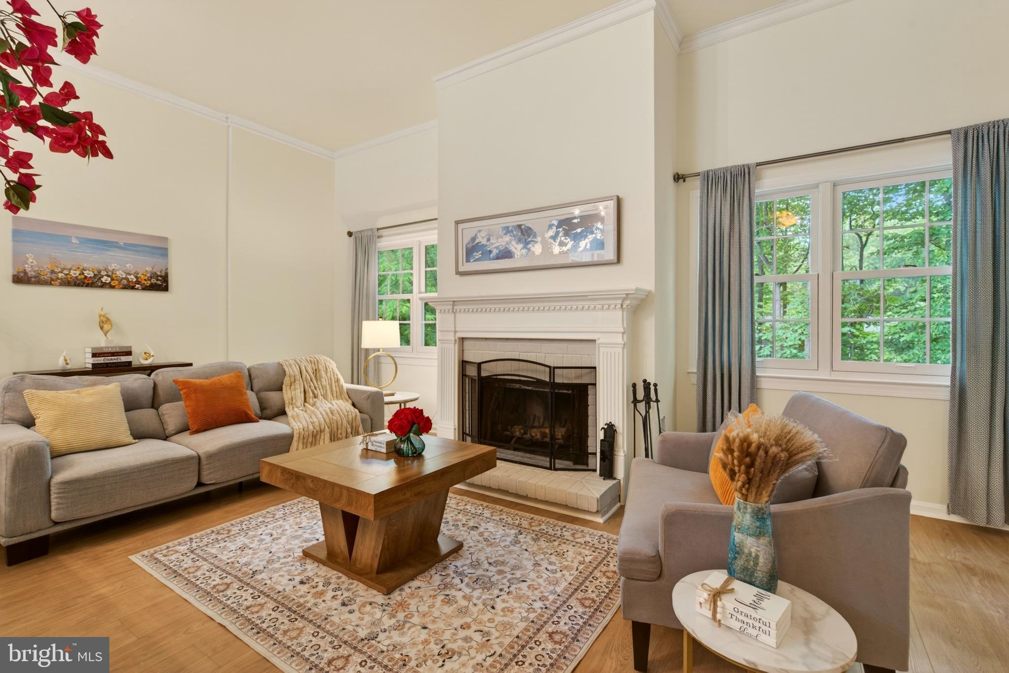 11716 DRY RIVER COURT