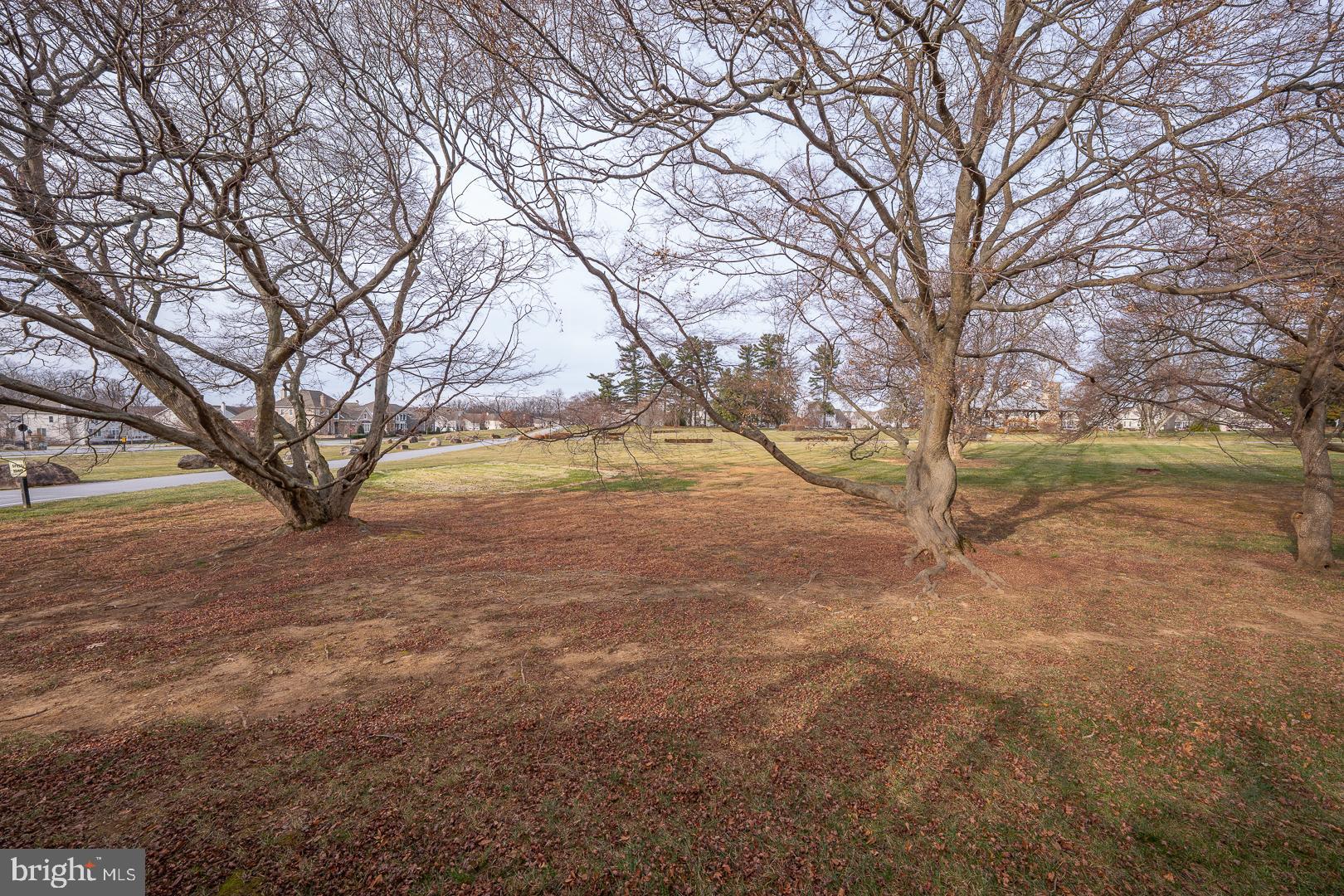 LISETER - Residential