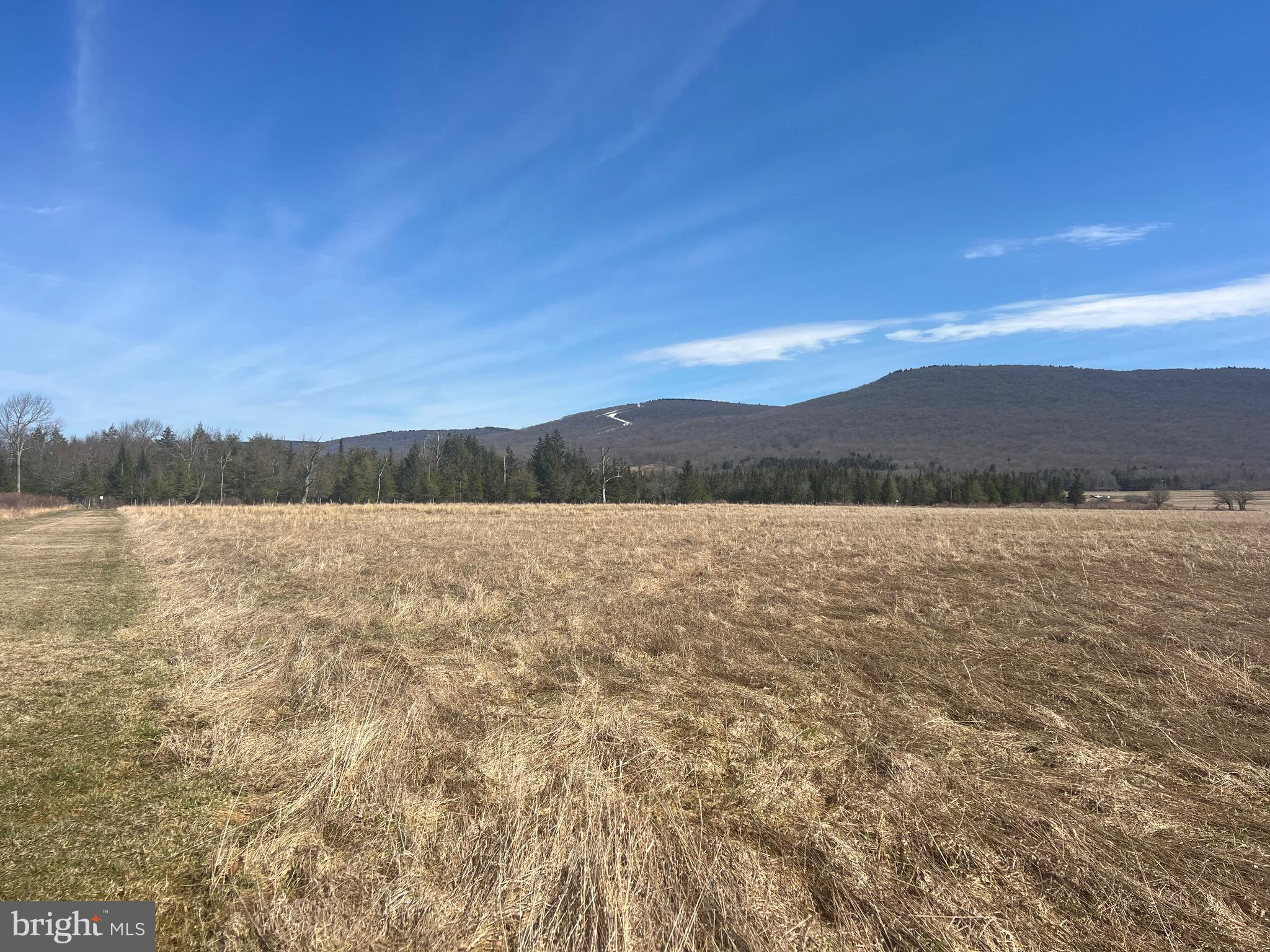 FREELAND ESTATES - Land