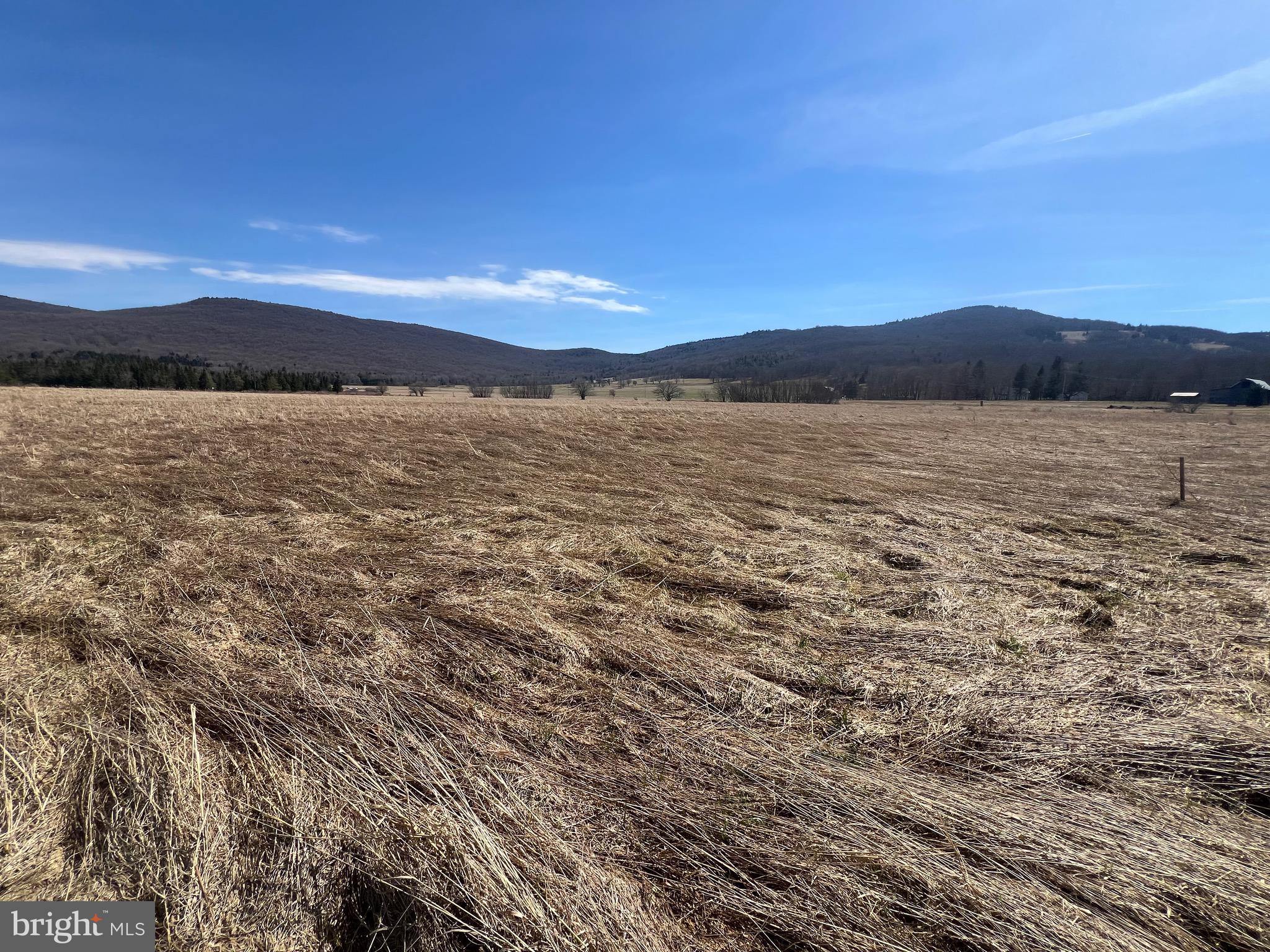 FREELAND ESTATES - Land