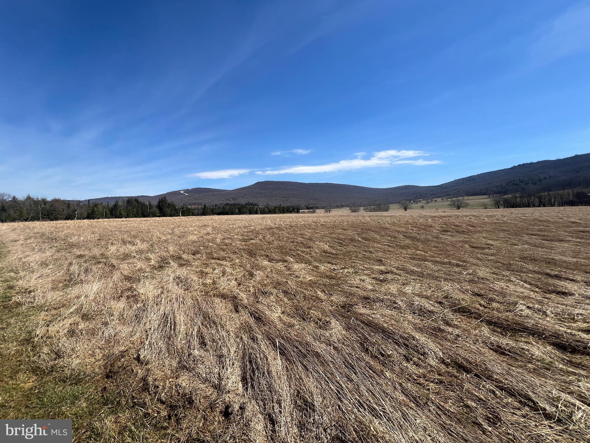 FREELAND ESTATES - Land