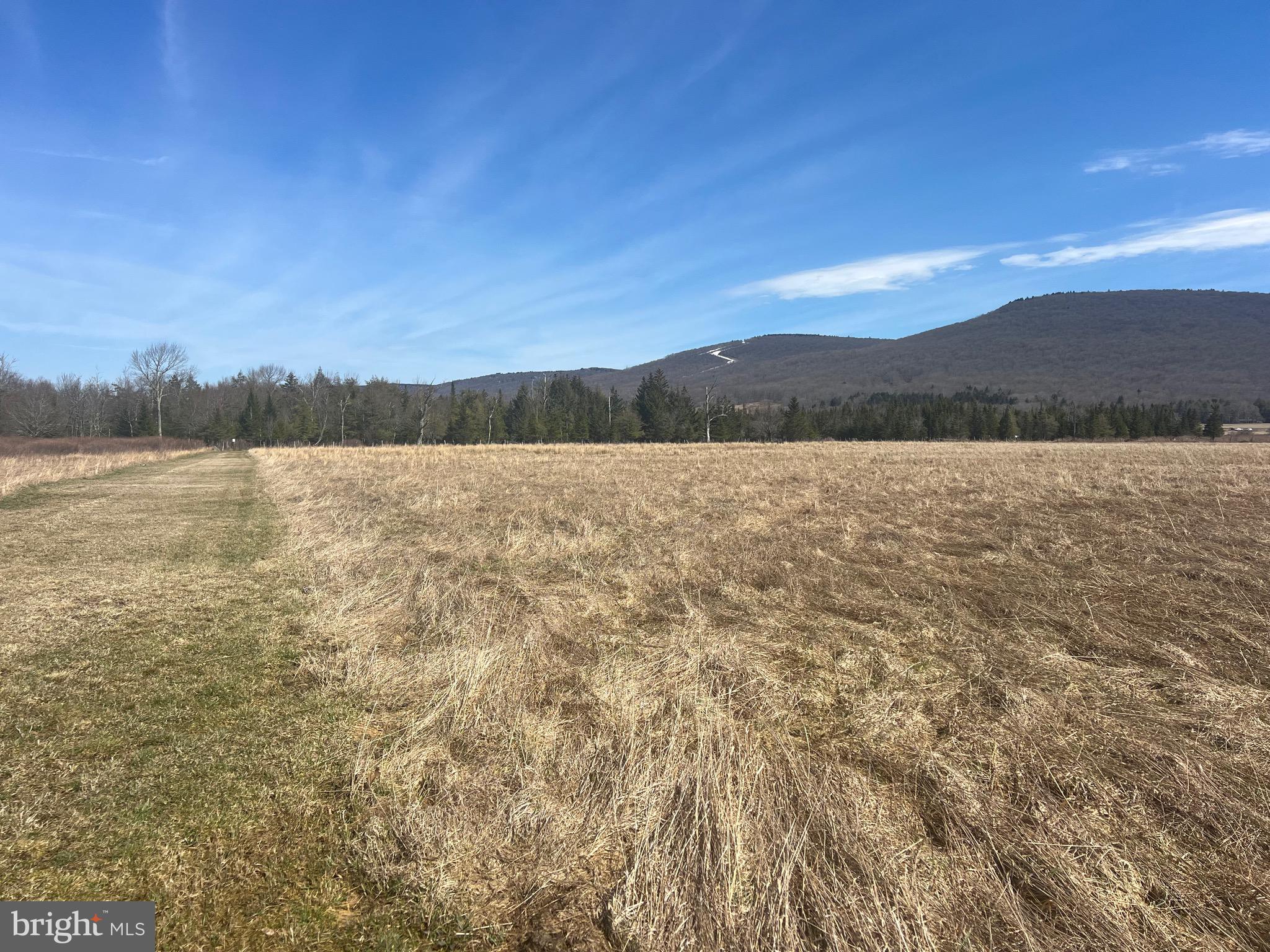 FREELAND ESTATES - Land