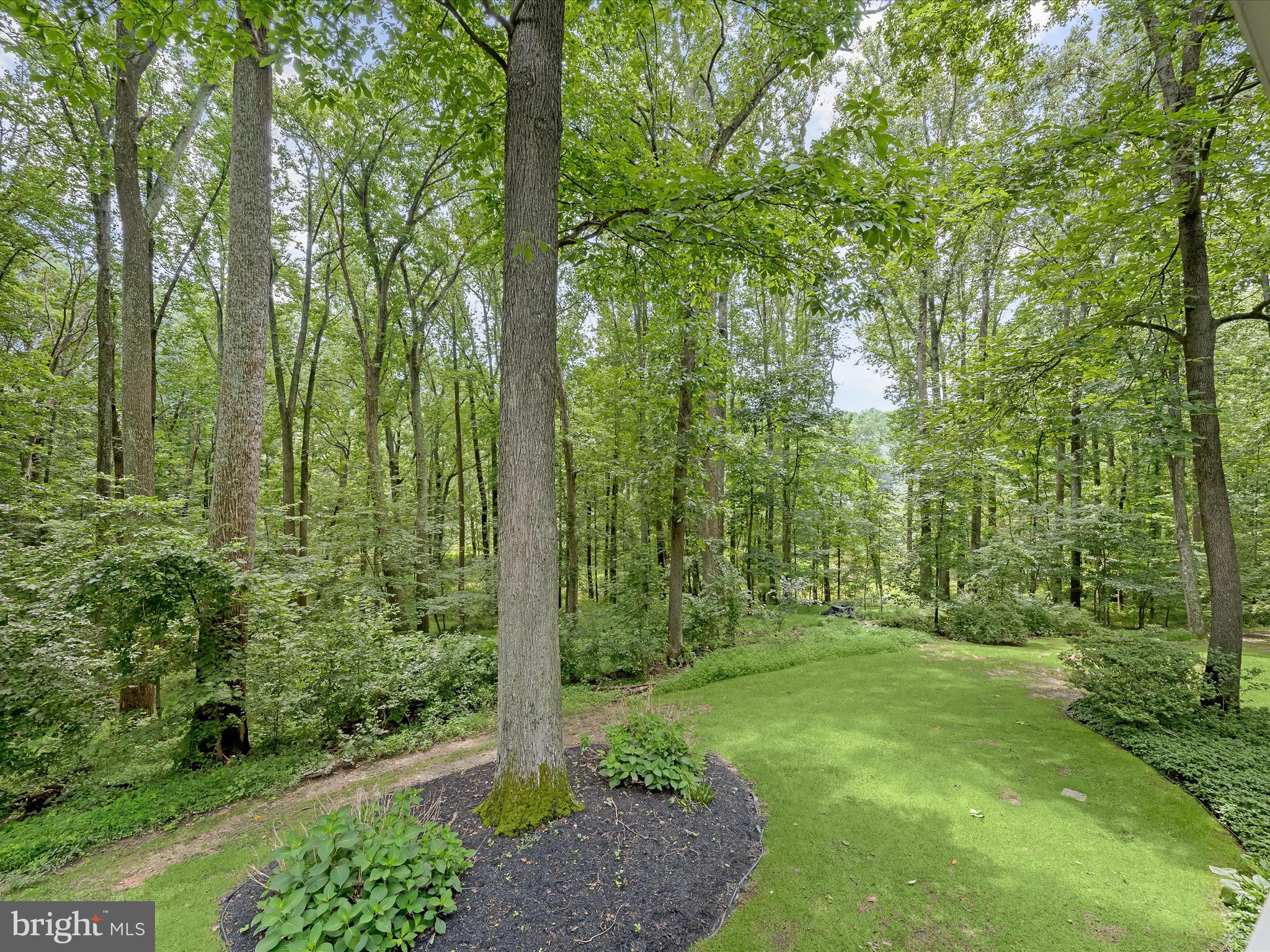 CAMERON FARMS - Residential