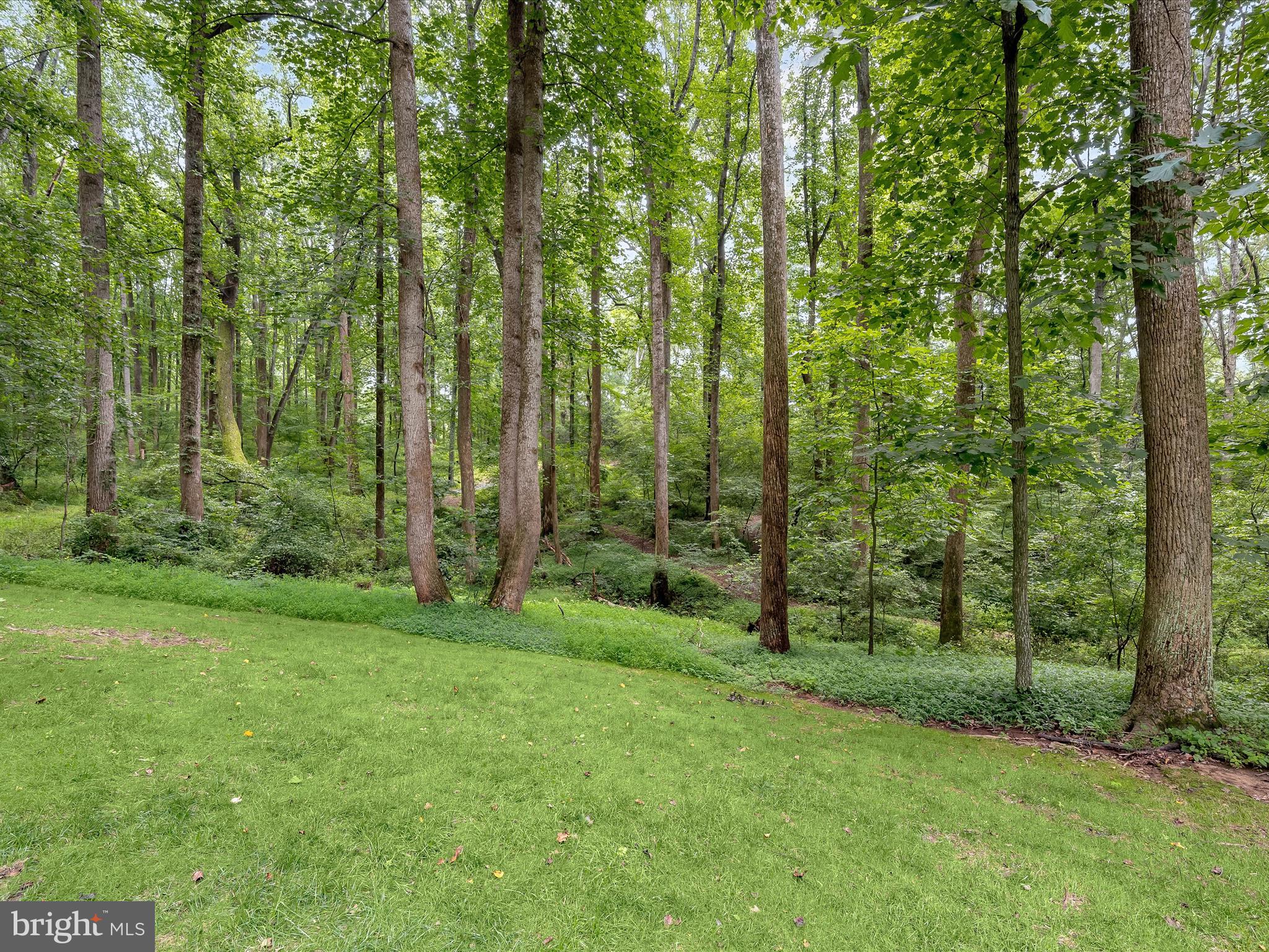 CAMERON FARMS - Residential