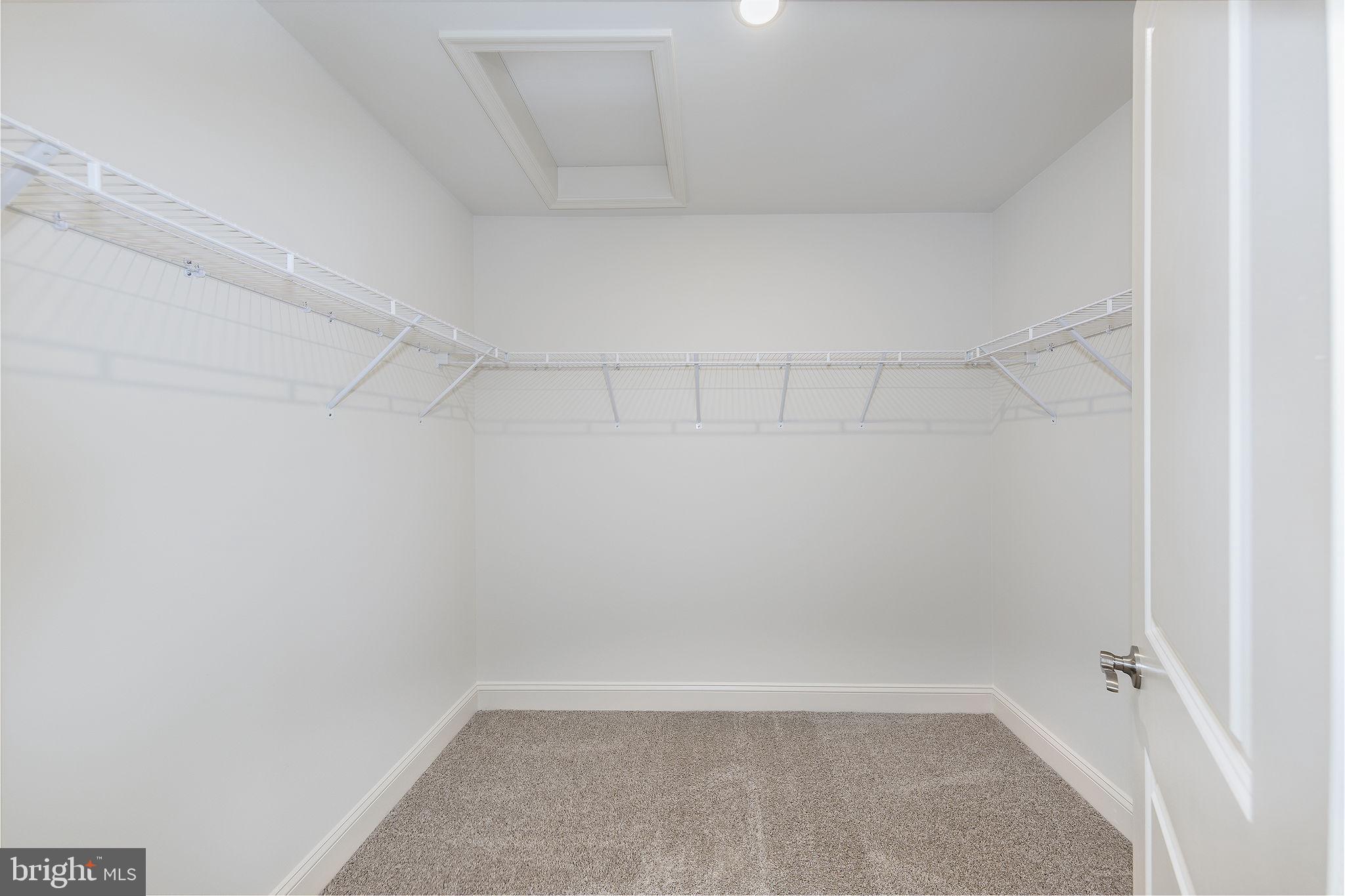 SOUTH TREEVIEW ESTATES - Residential