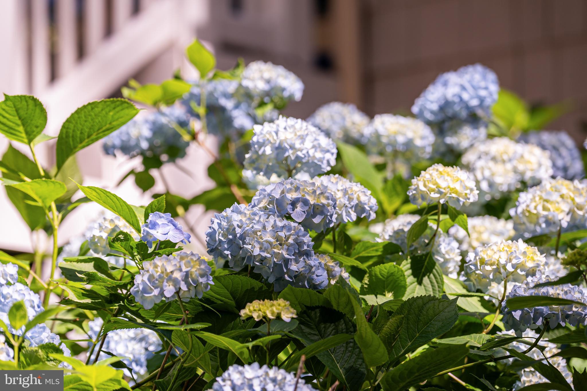 LITTLE RIVER ESTATES - Residential