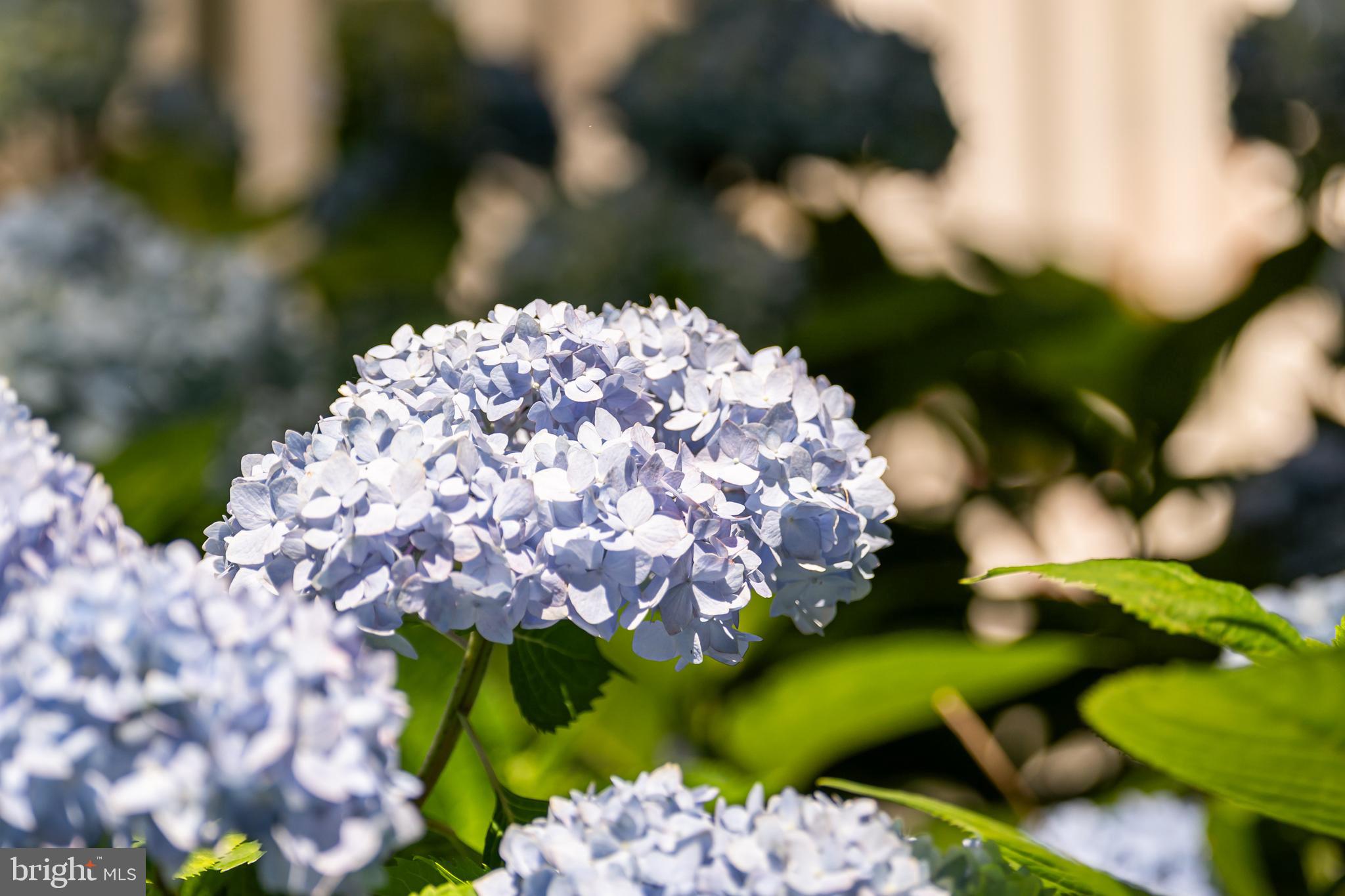 LITTLE RIVER ESTATES - Residential