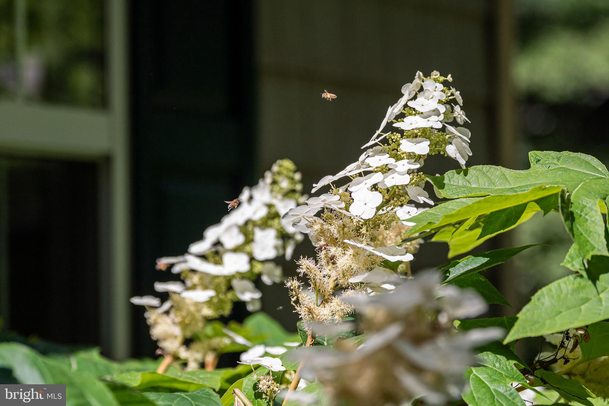 LITTLE RIVER ESTATES - Residential