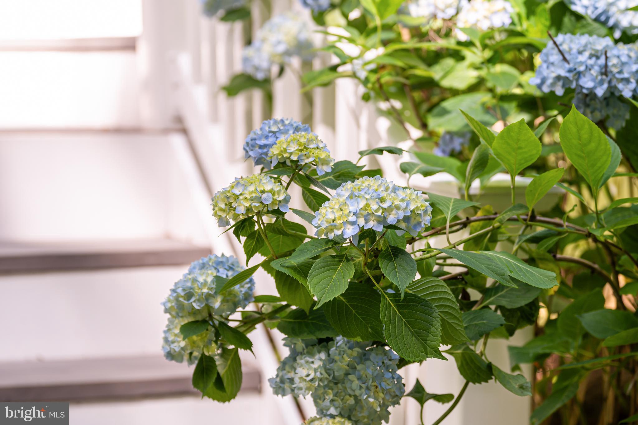 LITTLE RIVER ESTATES - Residential