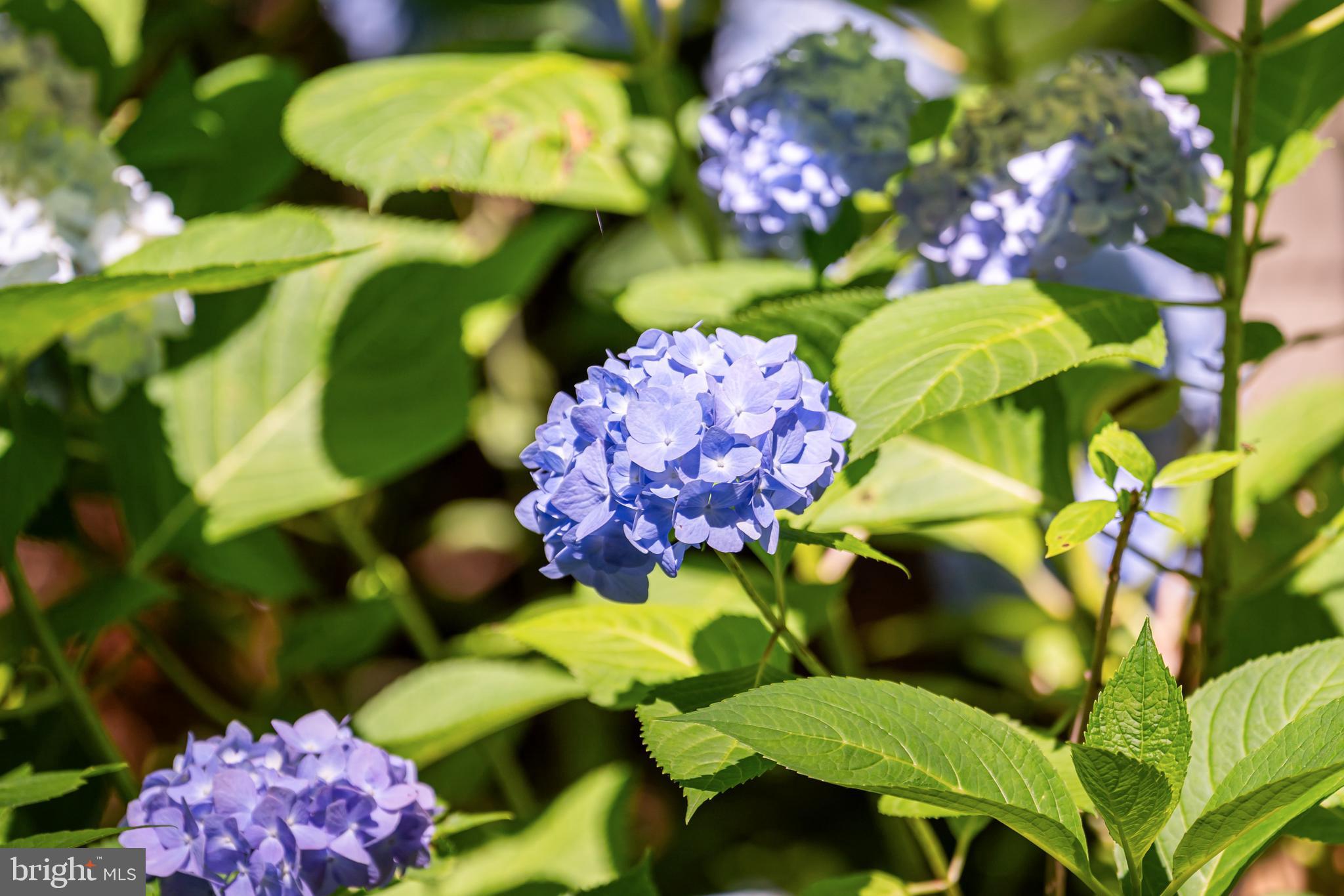 LITTLE RIVER ESTATES - Residential