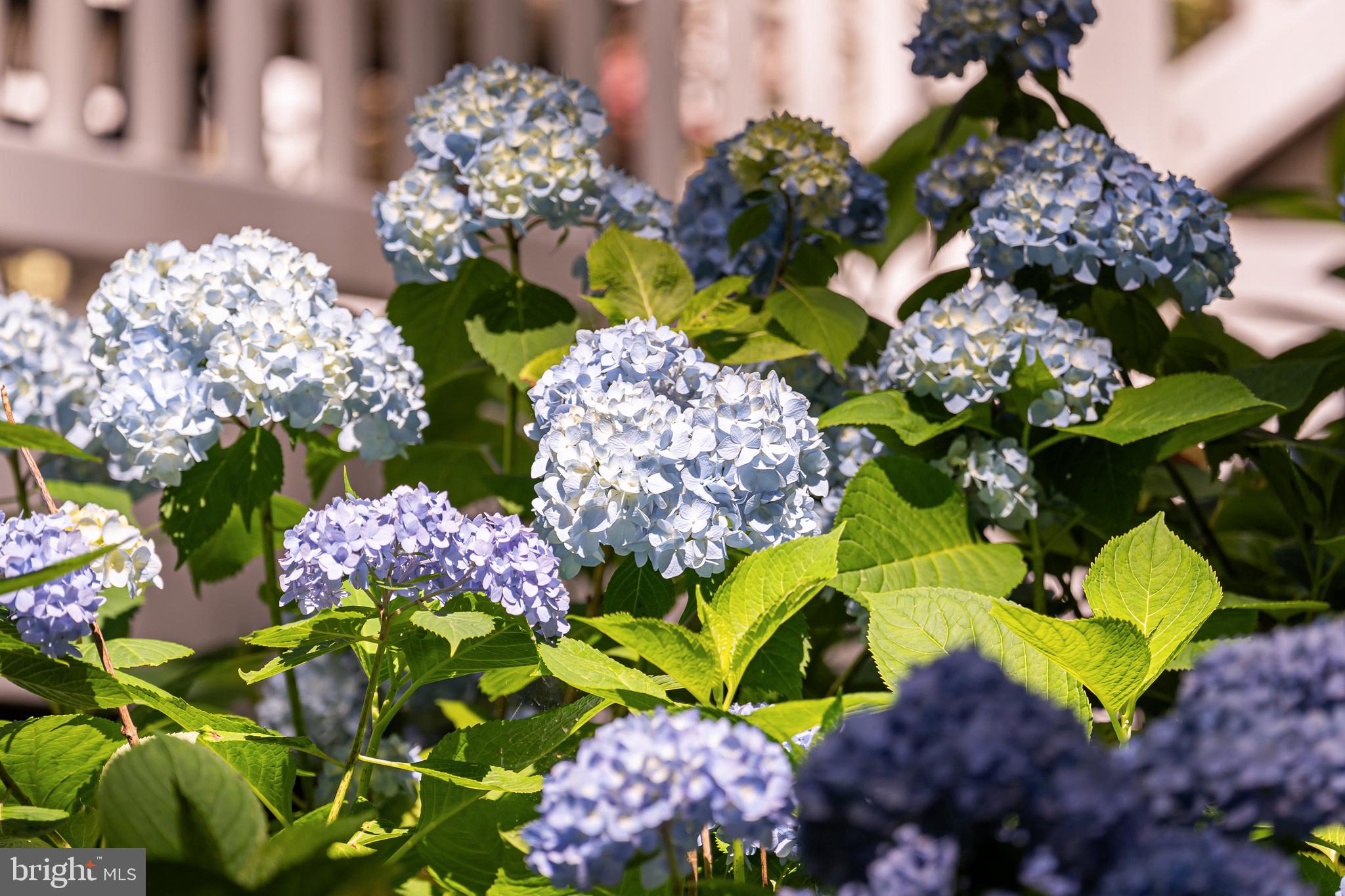 LITTLE RIVER ESTATES - Residential