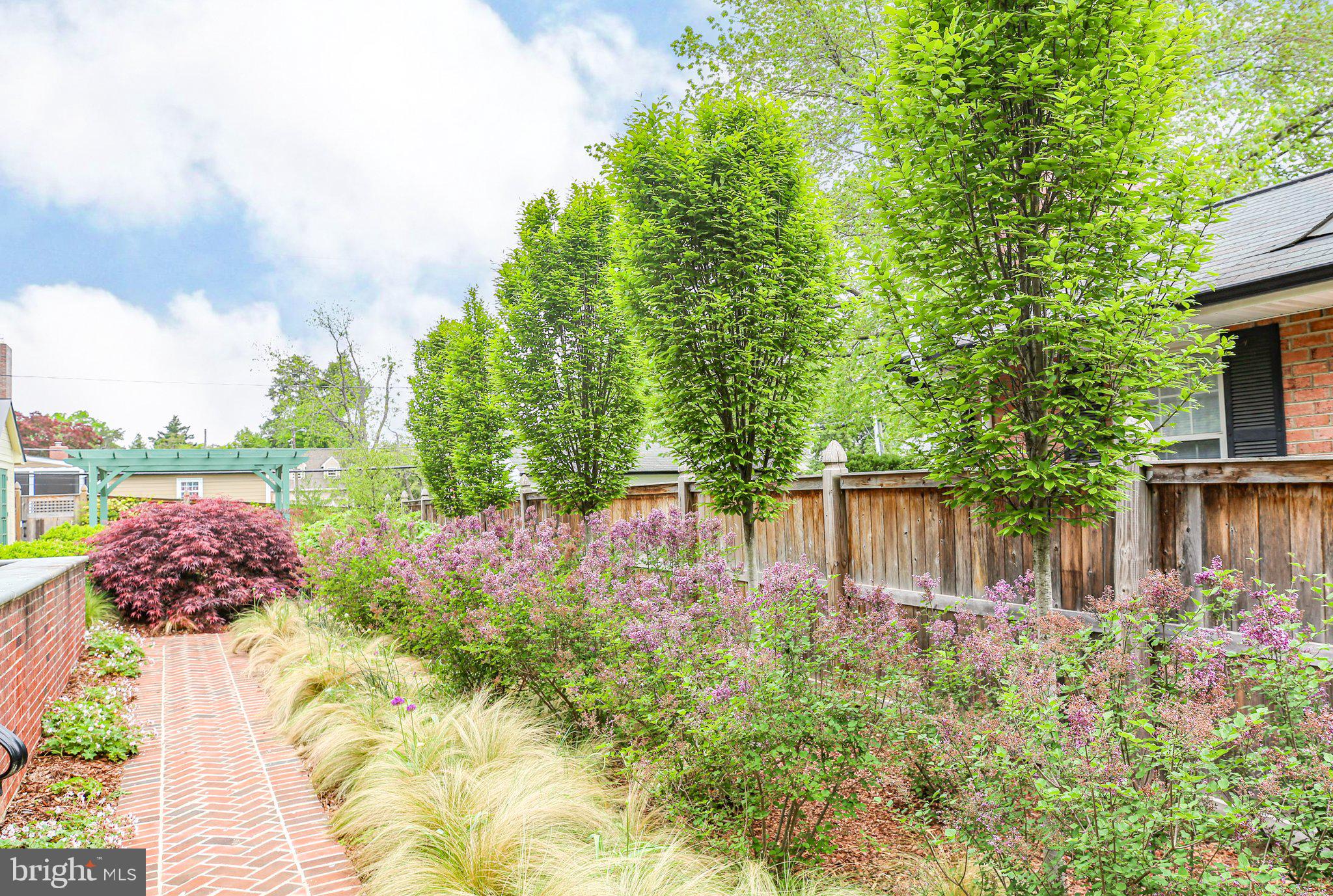 COLLEGE TERRACE - Residential