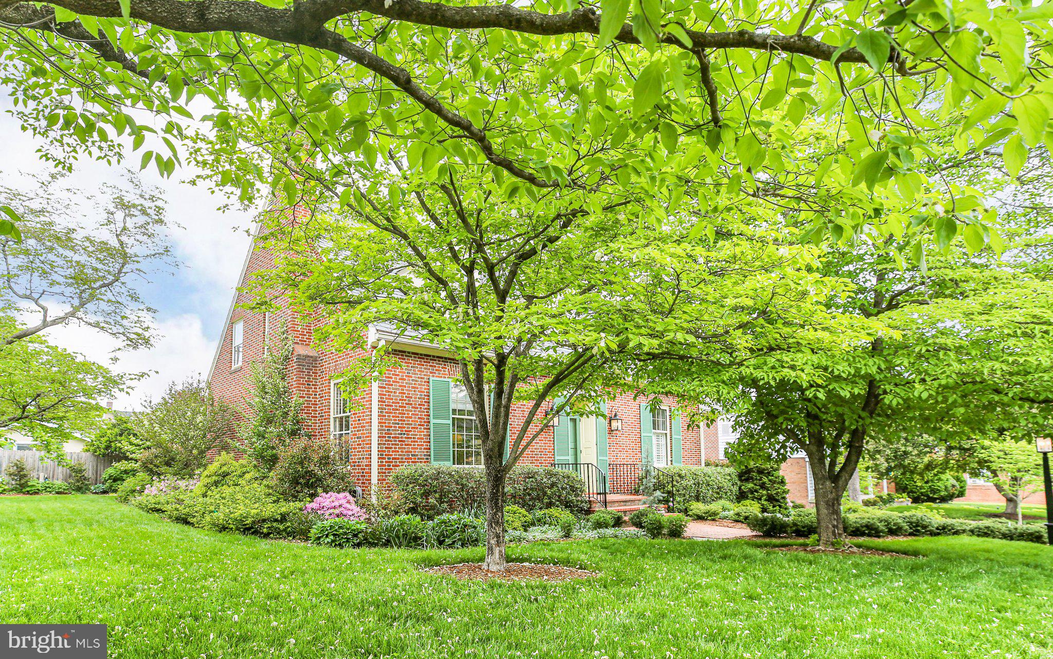 COLLEGE TERRACE - Residential