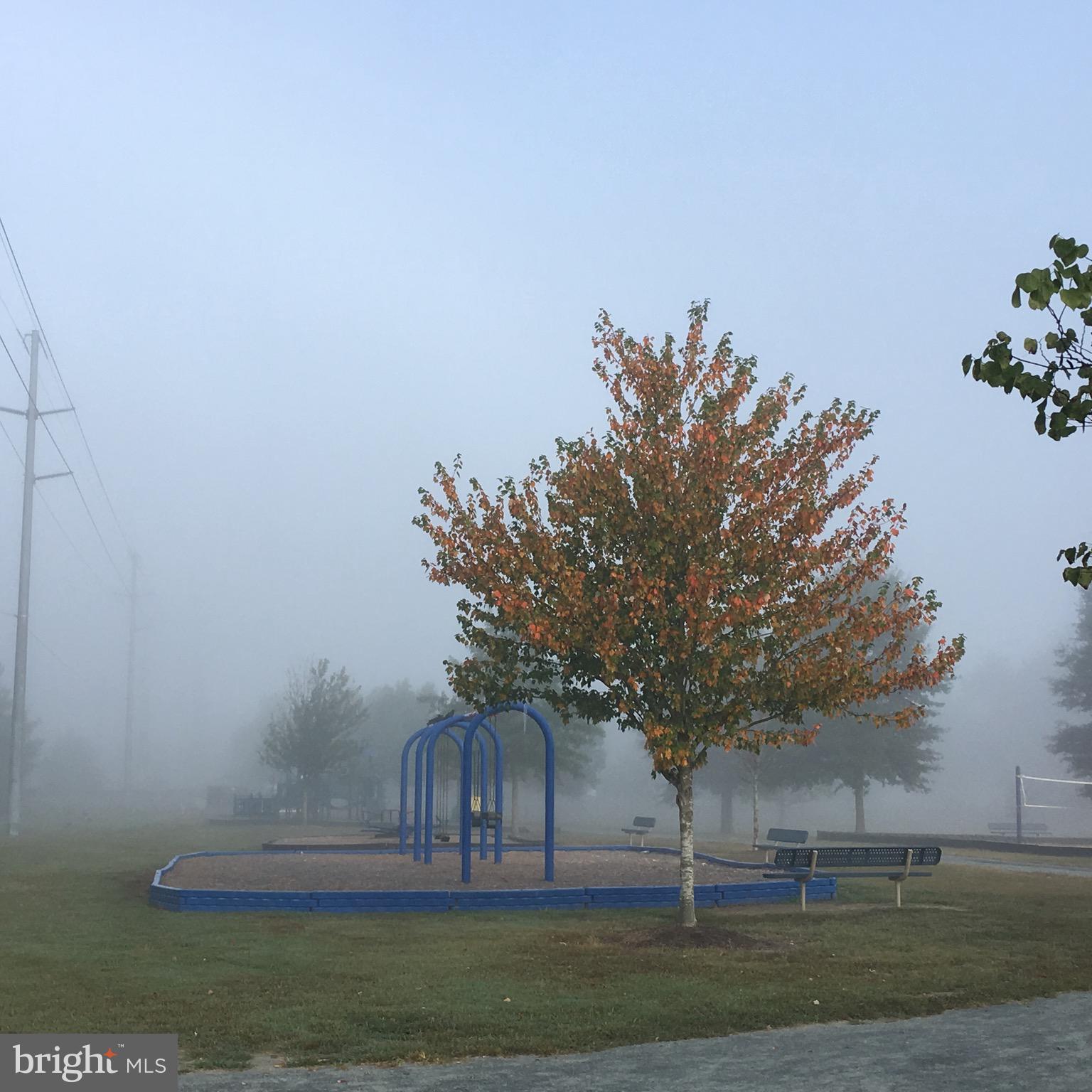 PAPERMILL CROSSI - Commercial Sale