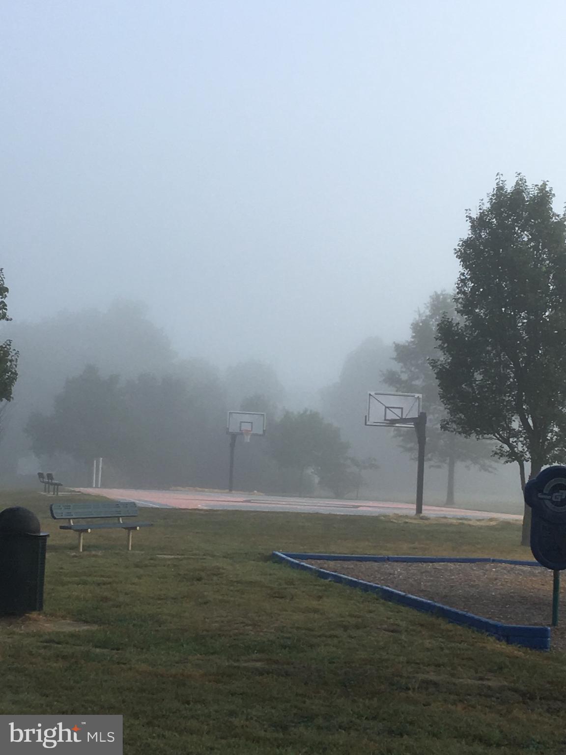 PAPERMILL CROSSI - Commercial Sale