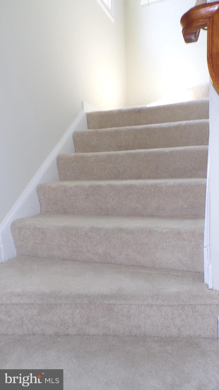 JAPONICA - Residential