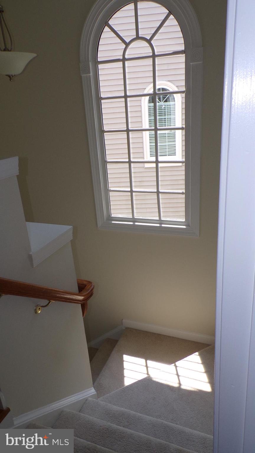 JAPONICA - Residential