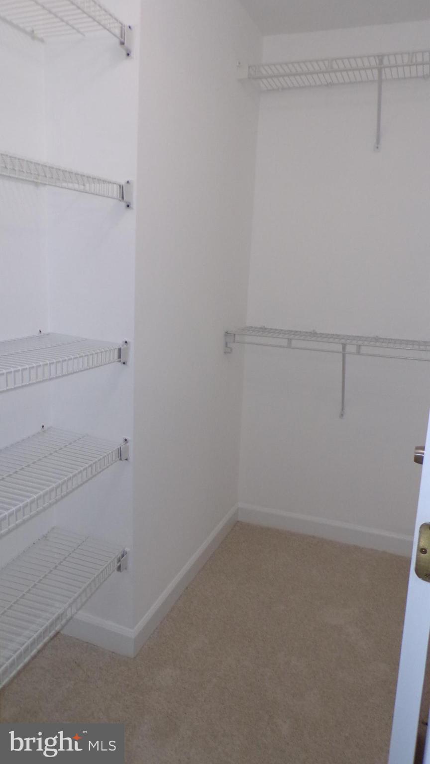 JAPONICA - Residential