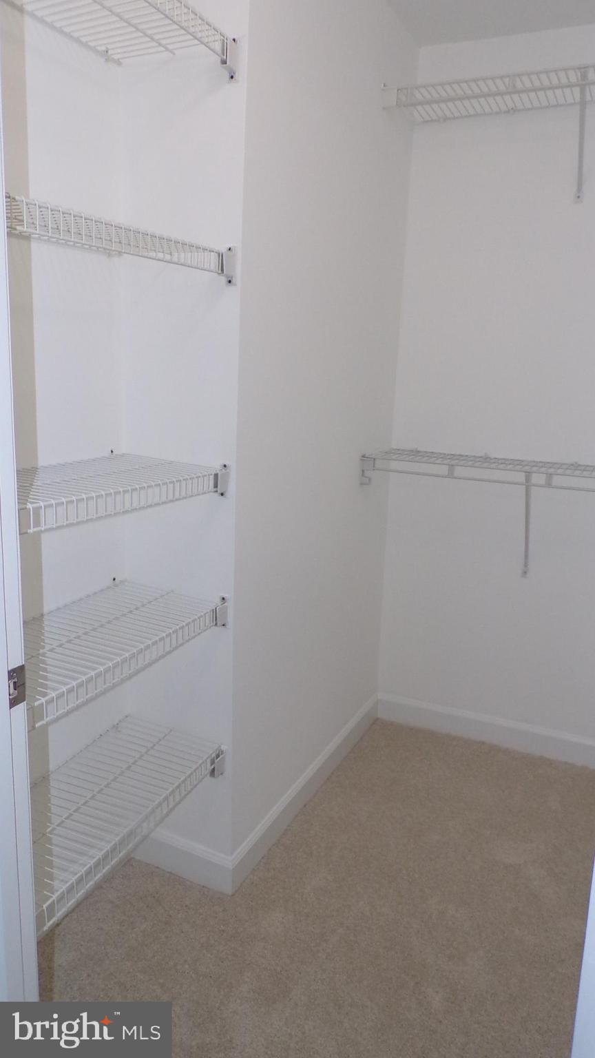 JAPONICA - Residential