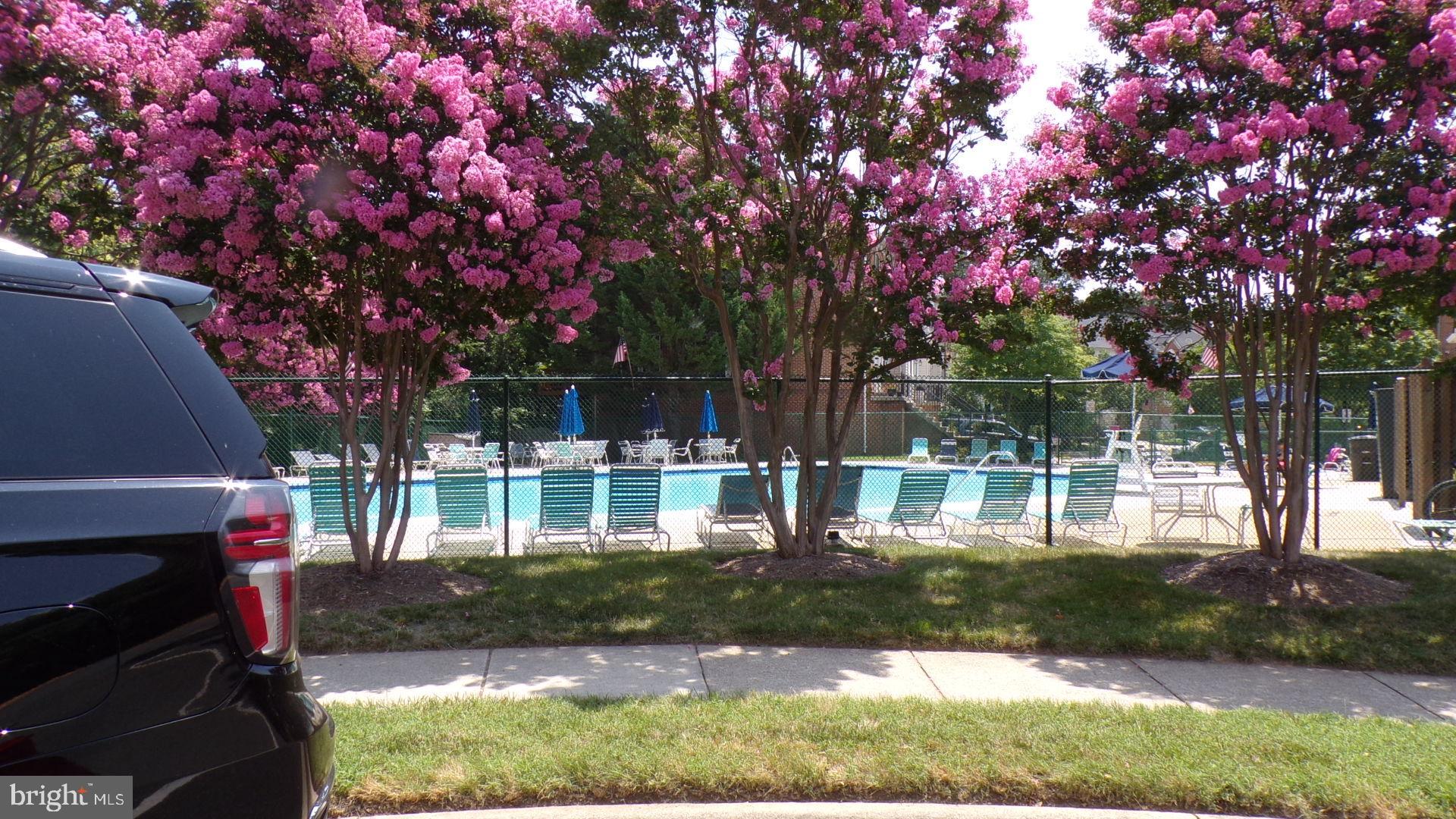 JAPONICA - Residential