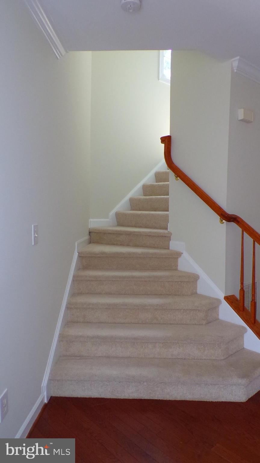 JAPONICA - Residential