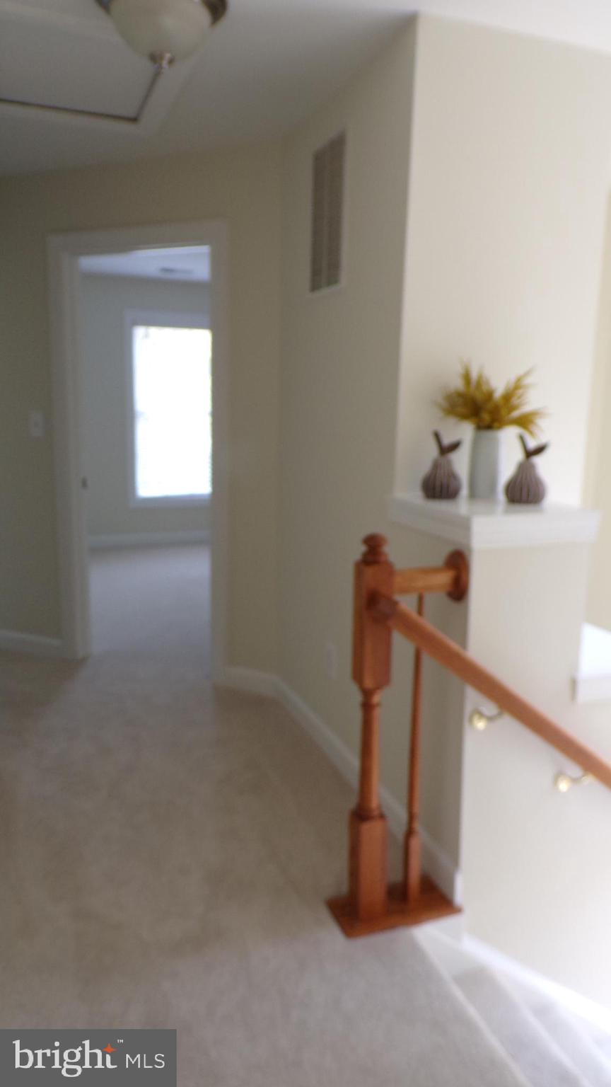 JAPONICA - Residential