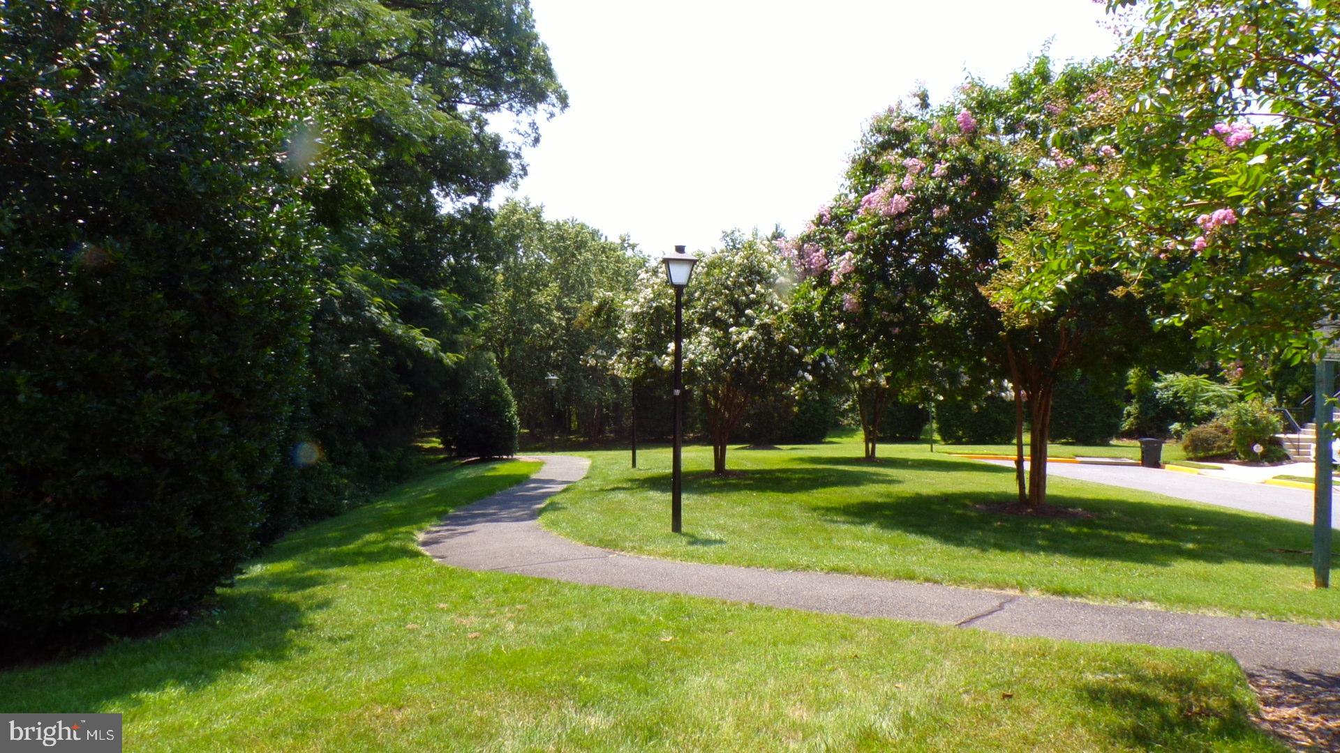 JAPONICA - Residential