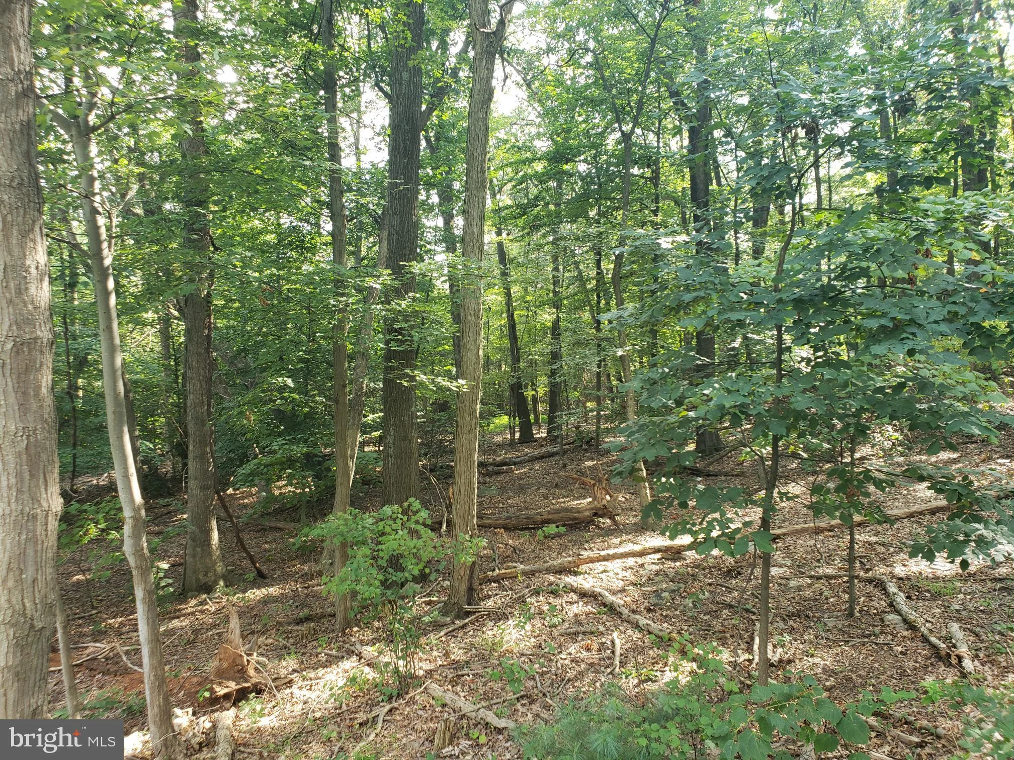 Route 00074 N, Ickesburg, PA 17037