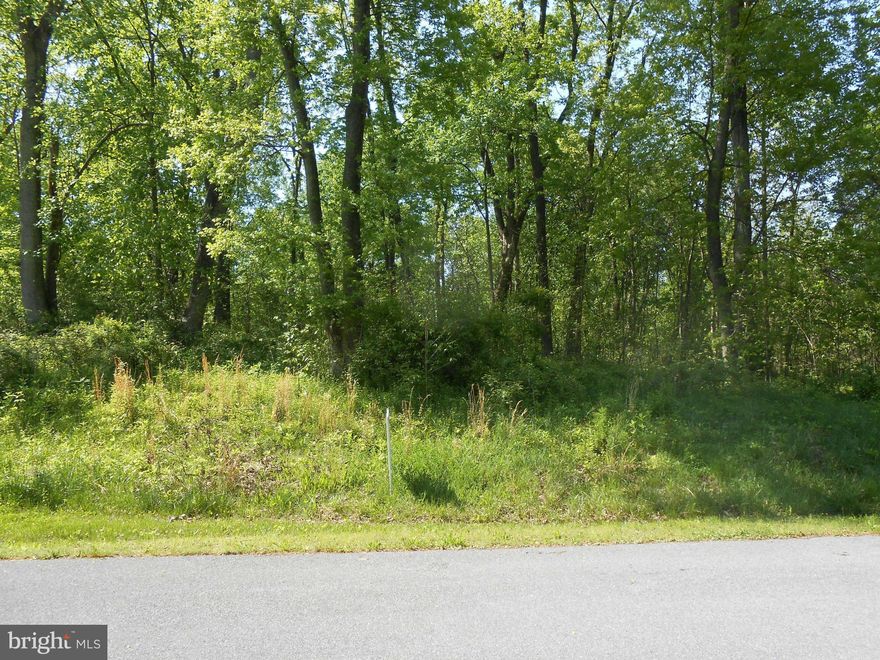 REDUCED ANOTHER $34,000, PRICED TO SELL AT ONLY $84,900!! LOCATED ON THE MOST EXCLUSIVE STREET IN THE DEVELOPMENT THIS IS VERY UNIQUE LOT LOCATION!! NOTHING AVAILABLE FOR BUILDING EITHER BEHIND OR TO THE LEFT OF THIS LOT. WONDERFUL HOME SITE AMIDST THE WOODS ON A SLIGHT RISE FROM ROAD LEVEL. SEE PICTURES FOR VIEWS OF THE LOT AS WELL AS A REPRESENTATION OF THE NEIGHBORHOOD HOMES ON THE SAME STREET.