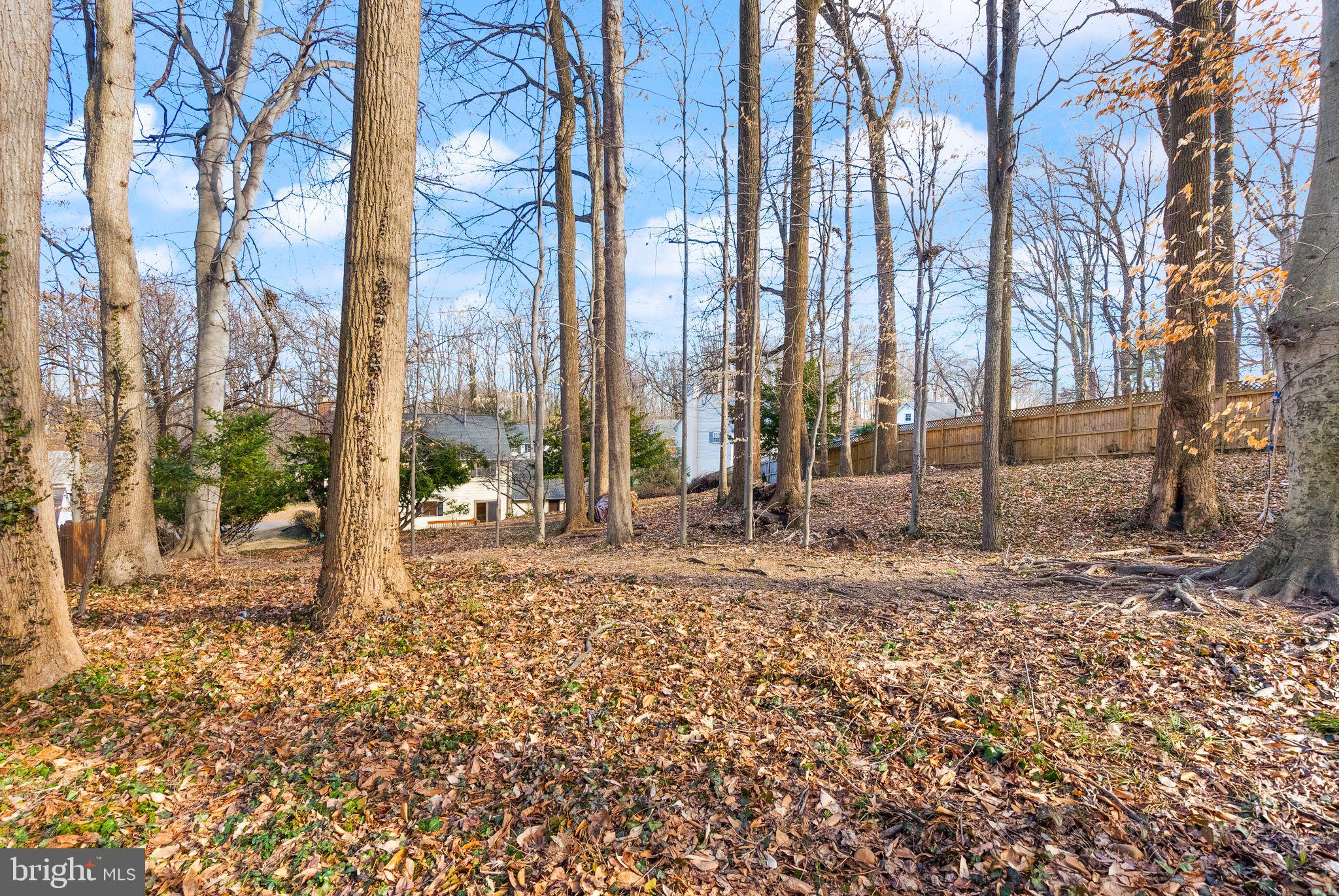 HILLBROOK FOREST - Residential