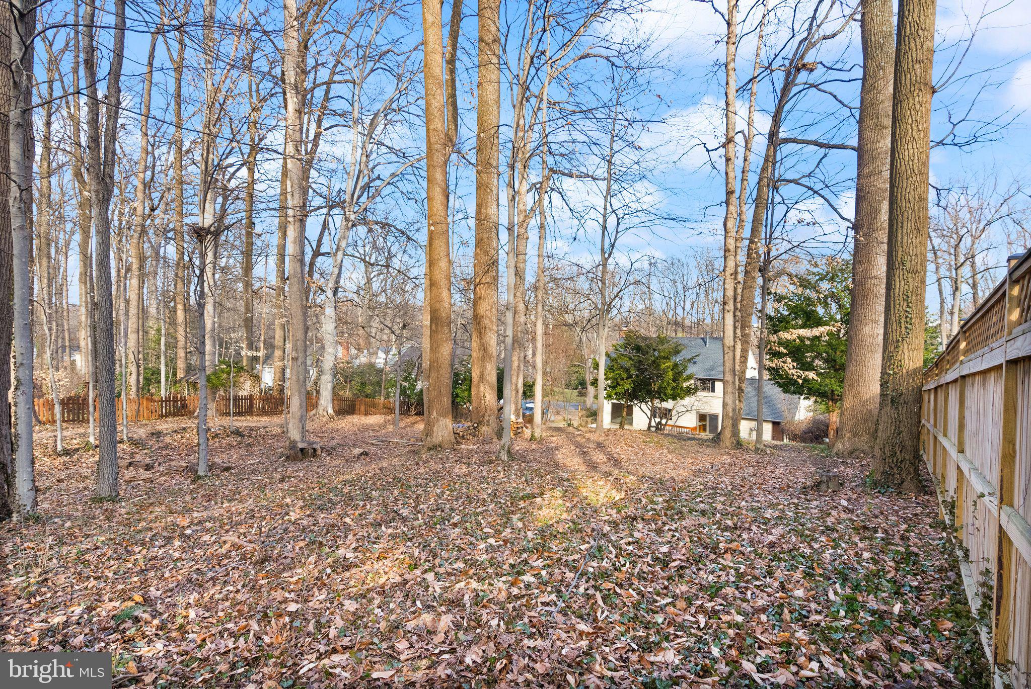 HILLBROOK FOREST - Residential