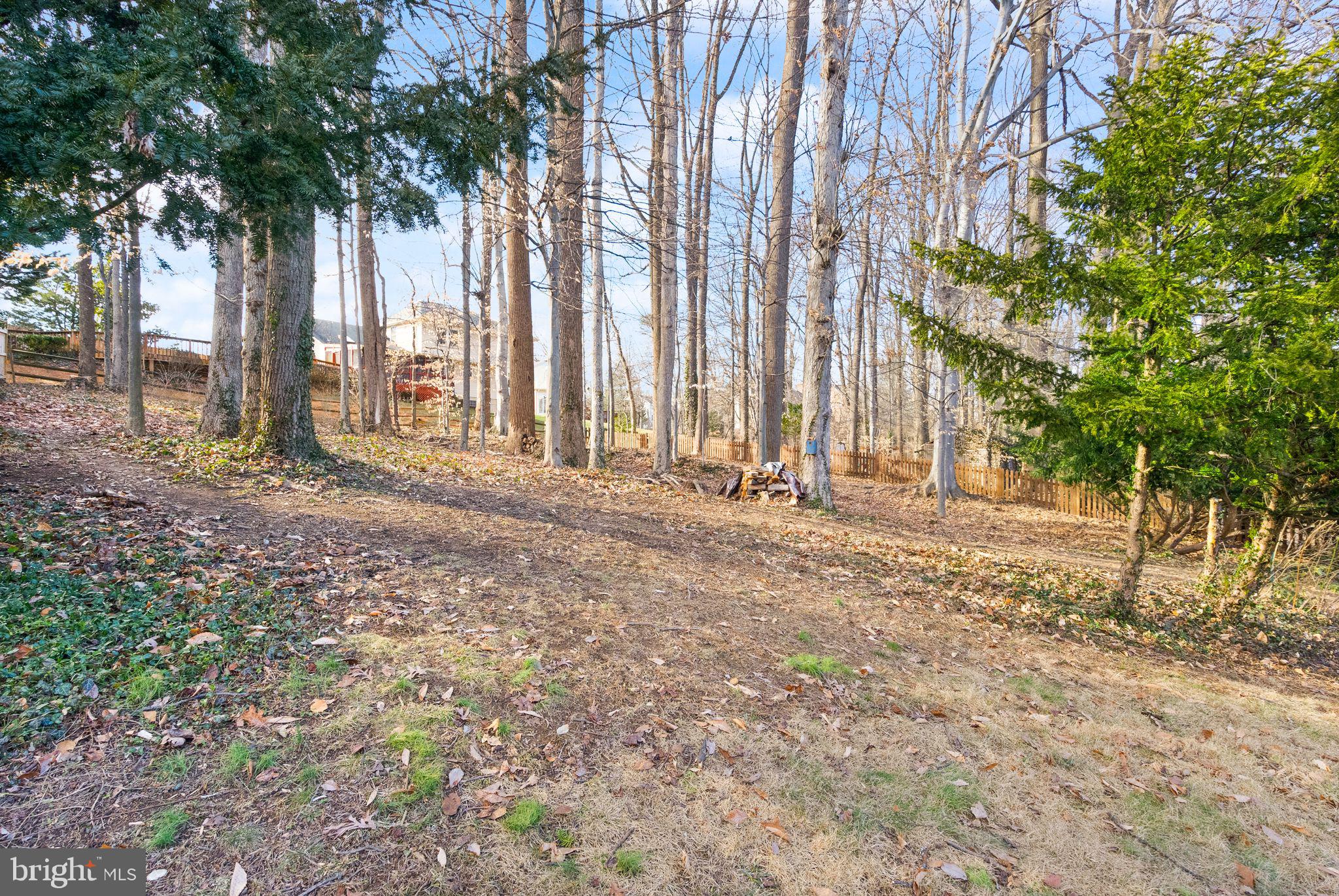 HILLBROOK FOREST - Residential