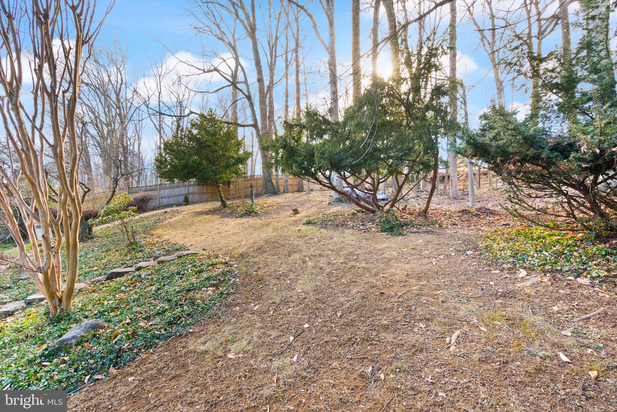 HILLBROOK FOREST - Residential