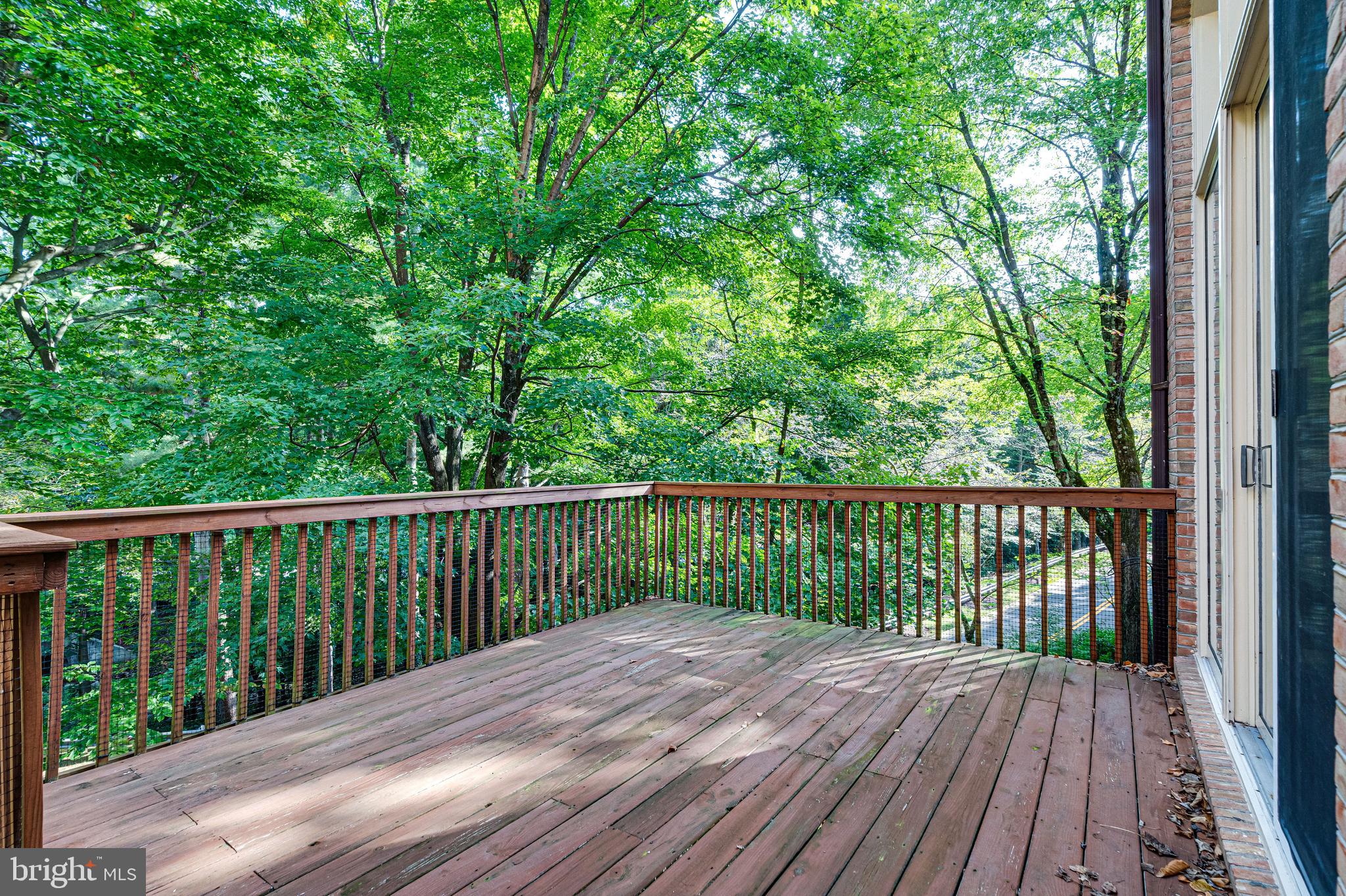 MASS AVE FOREST - Residential