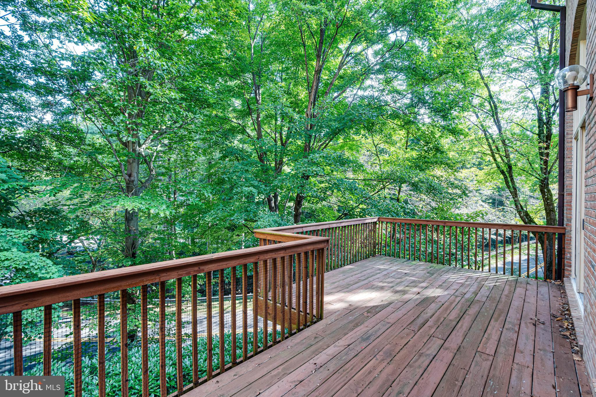 MASS AVE FOREST - Residential