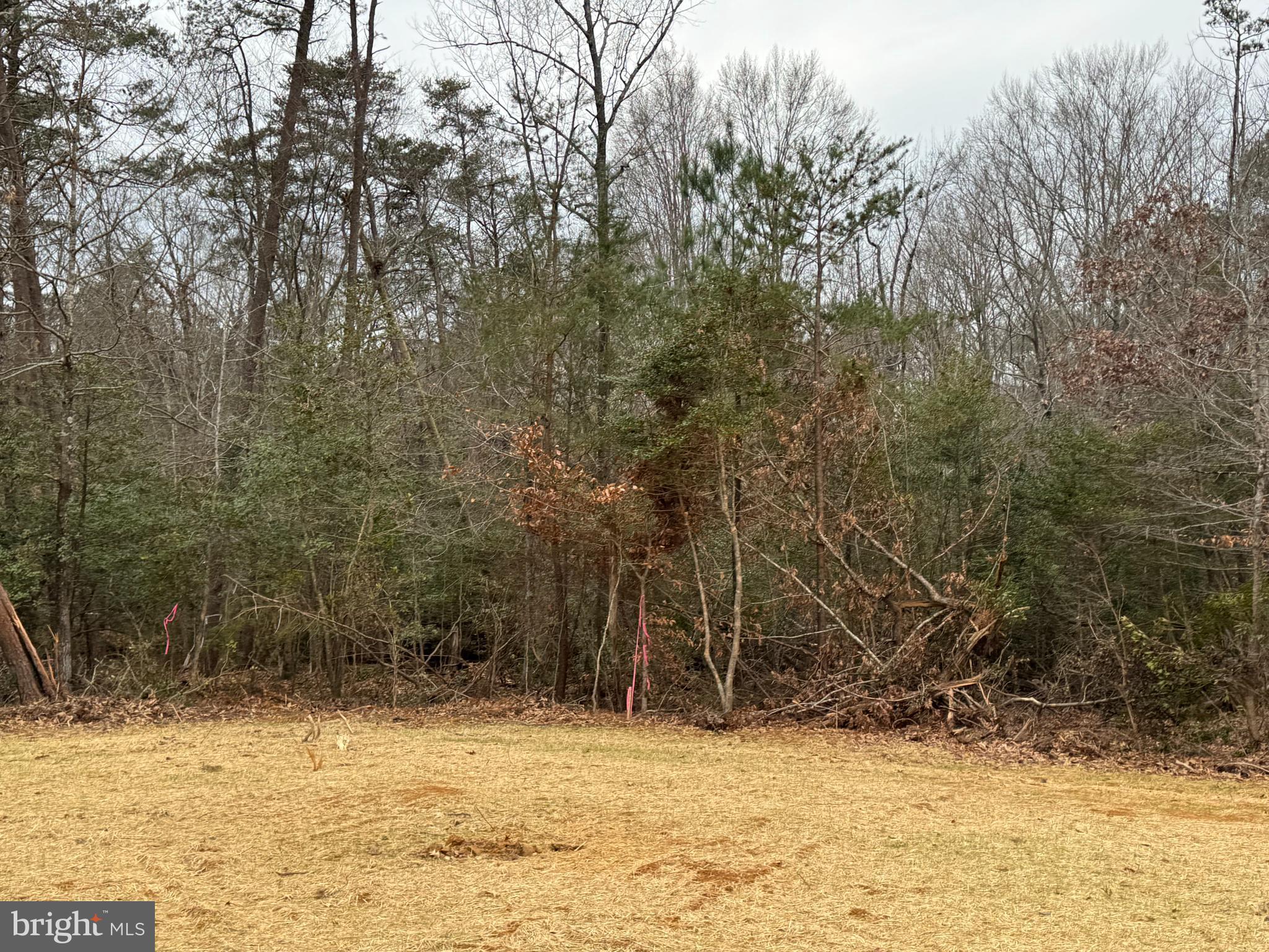 NONE AVAILABLE - Land