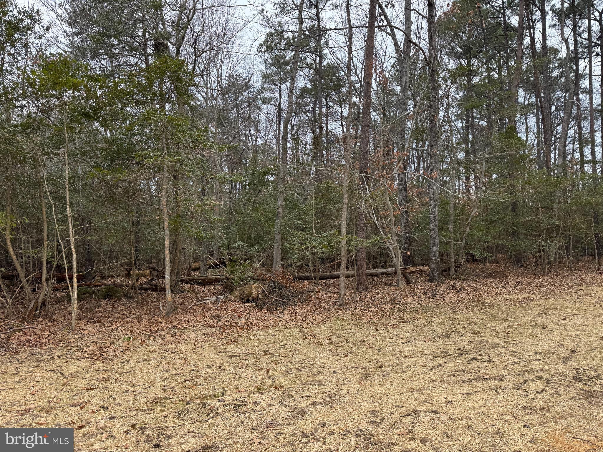 NONE AVAILABLE - Land