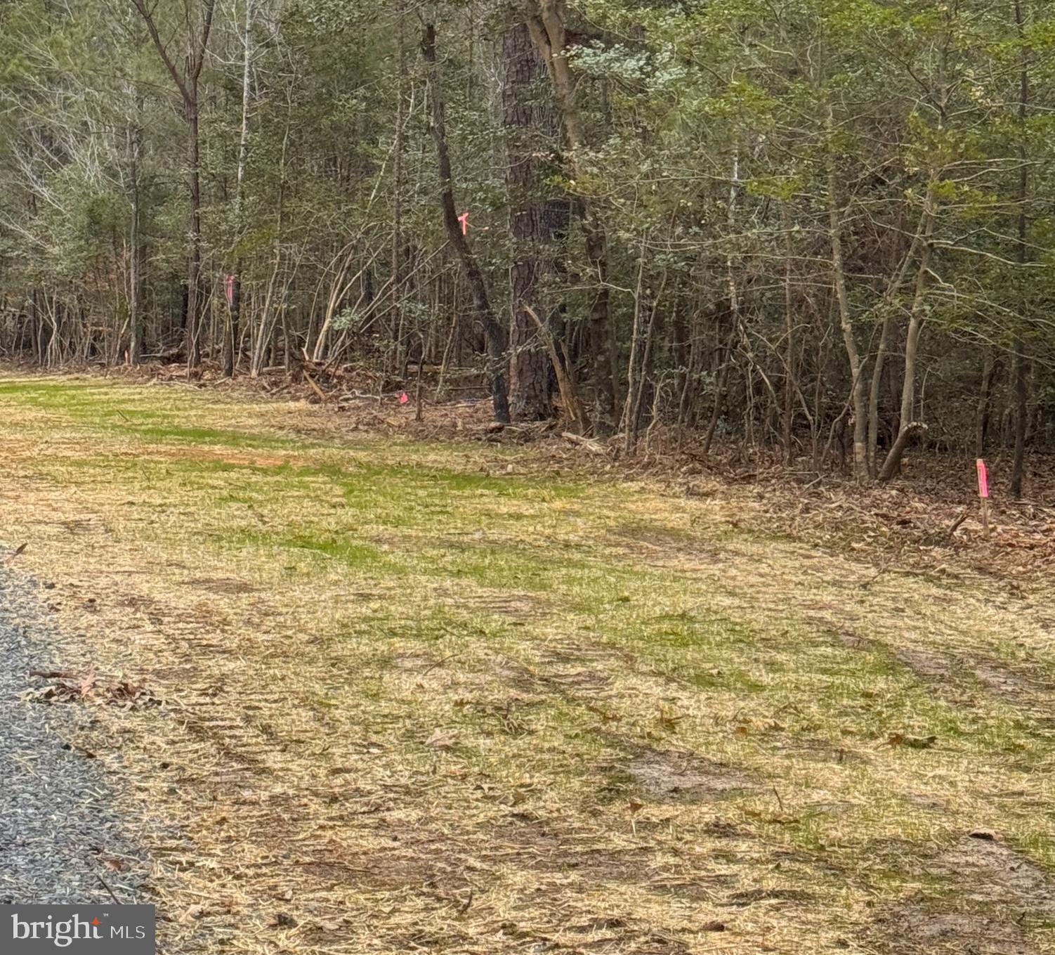 NONE AVAILABLE - Land