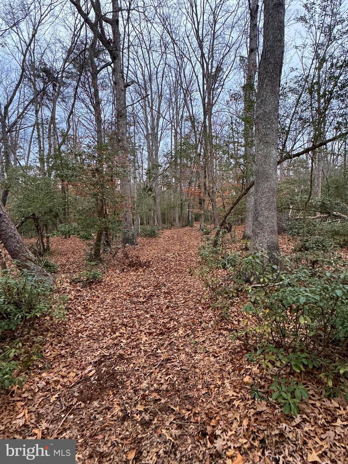 NONE AVAILABLE - Land