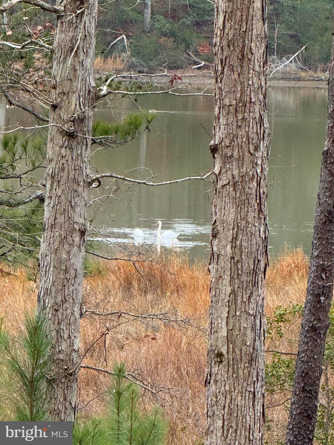 NONE AVAILABLE - Land