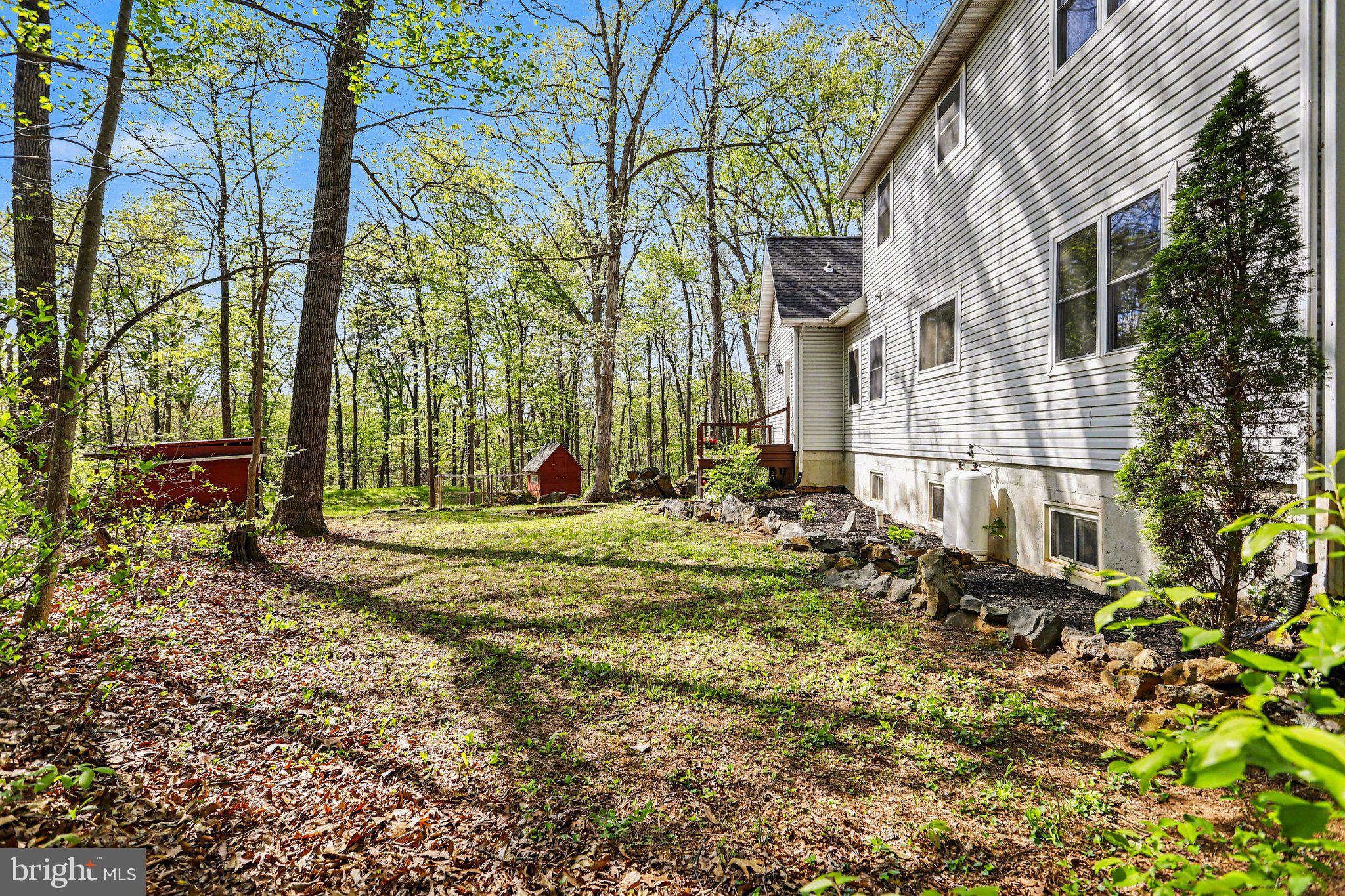 204 BULLFROG ROAD