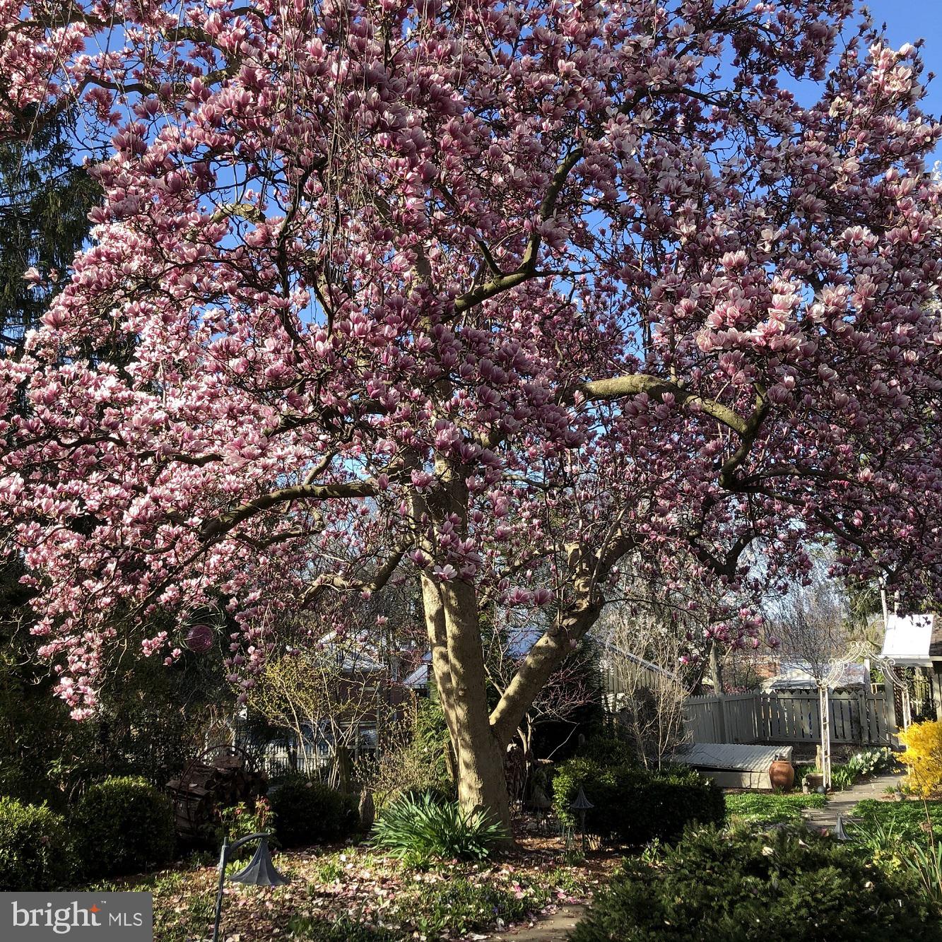 SHEPHERDSTOWN CORPORATION - Residential Income