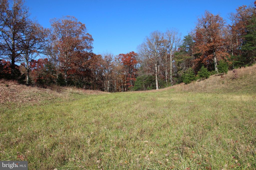 Photo of Front Royal Road, STRASBURG, VA 22657 (MLS # VASH2012554)