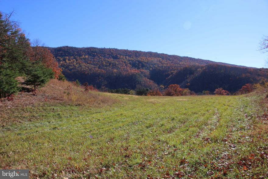 This pristine land has been family owned and operated for decades. On the market for the first time since the 1950’s and located just seconds from the southside of Strasburg’s town limits off of US-55. Access is secured via a 20 ft wide deeded private access and utility easement off of Front Royal Road. A brand new graveled entrance and culvert pipe have been installed. This land is currently being used for hay production and is zoned Medium Density Residential. Live the way you want with no covenants, no restrictions, and no HOA! Imagine building your next country home or vacation rental right here. Electricity is nearby making for a seamless connection. Other utilities are close by also making for easy and affordable hookups. Elite year round mountain views of Signal Knob can be seen from this prime lot. Enjoy hiking, camping, and recreation of all types on this parcel. Gently sloping topography makes maneuvering this tract enjoyable and fun. No soil work has been done previously and new soil work will be the responsibility of the purchaser. Just a few minutes from all the fun and adventure the Shenandoah River and Skyline Drive have to offer. Only a short drive from the amenities and attractions of Winchester.  ALL buyers must be accompanied by a licensed agent to view this property.